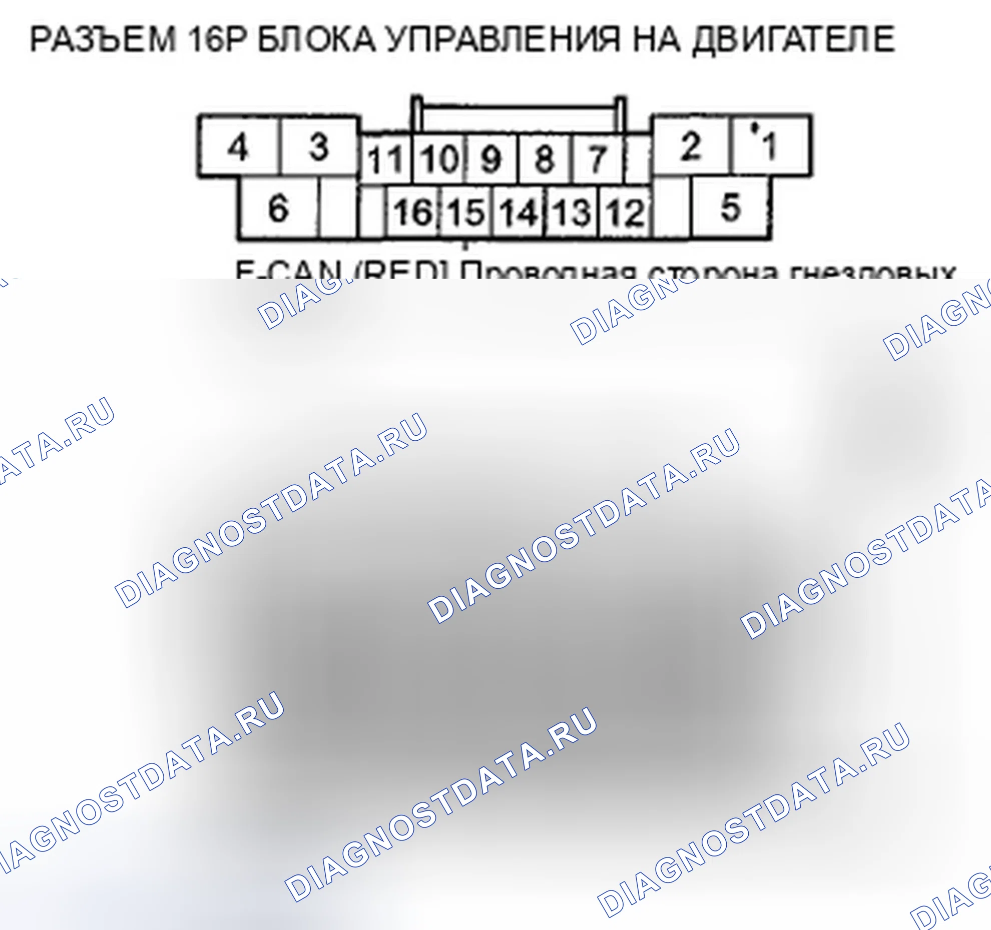 Рис. 68. Honda Crosstour I