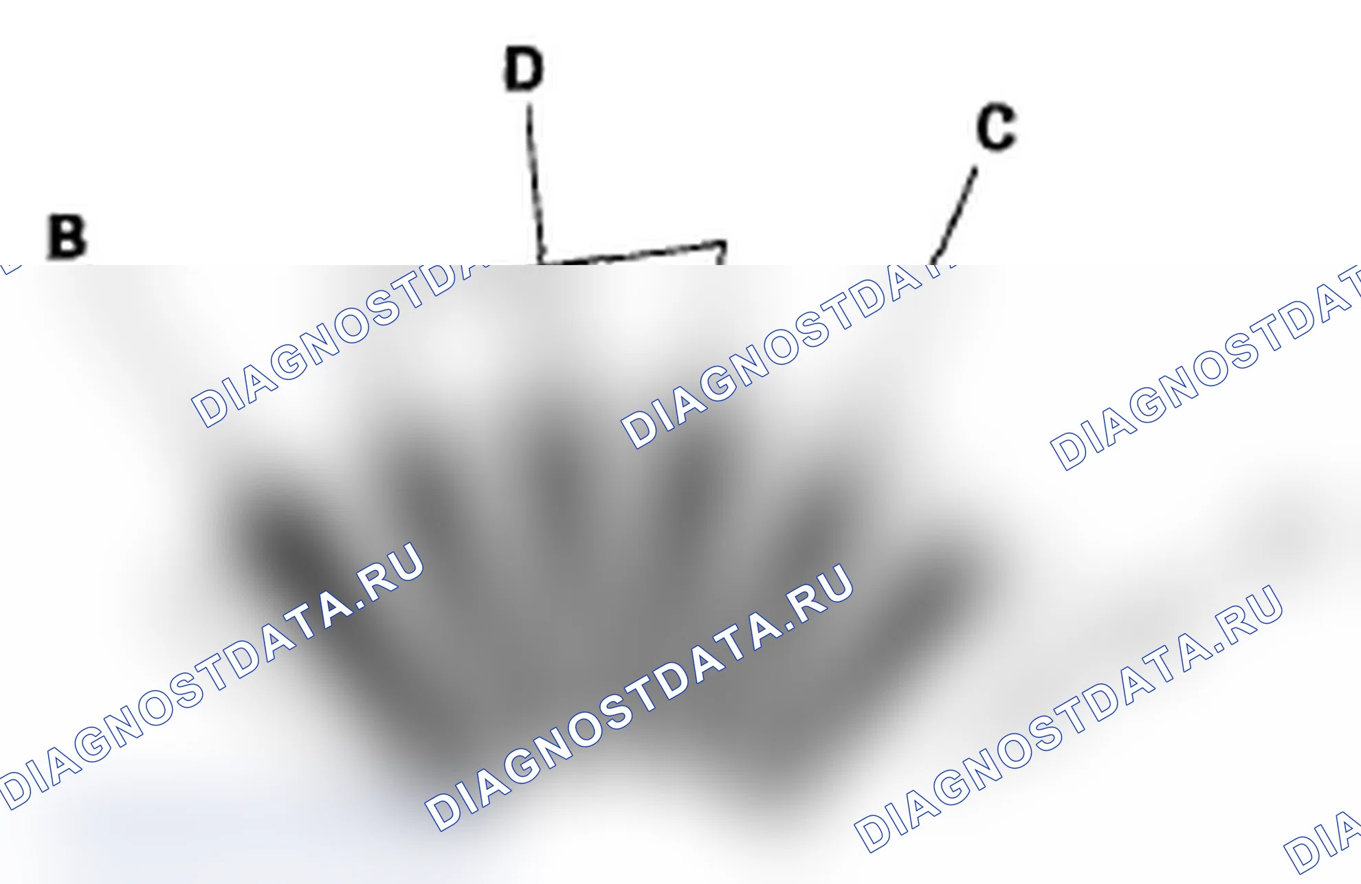 Рис. 22. Acura RL II рестайлинг