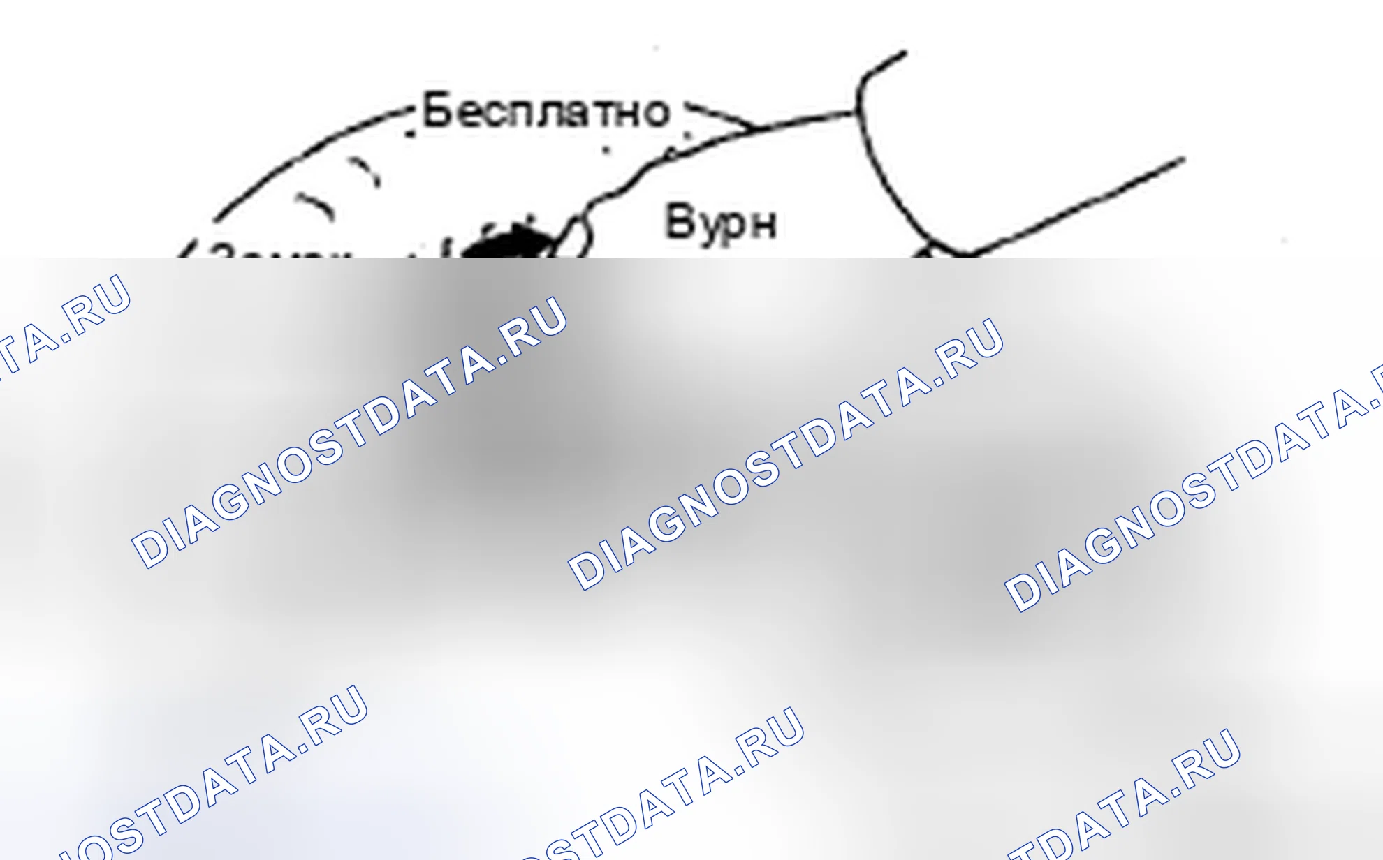 Рис. 381. Toyota Tacoma II