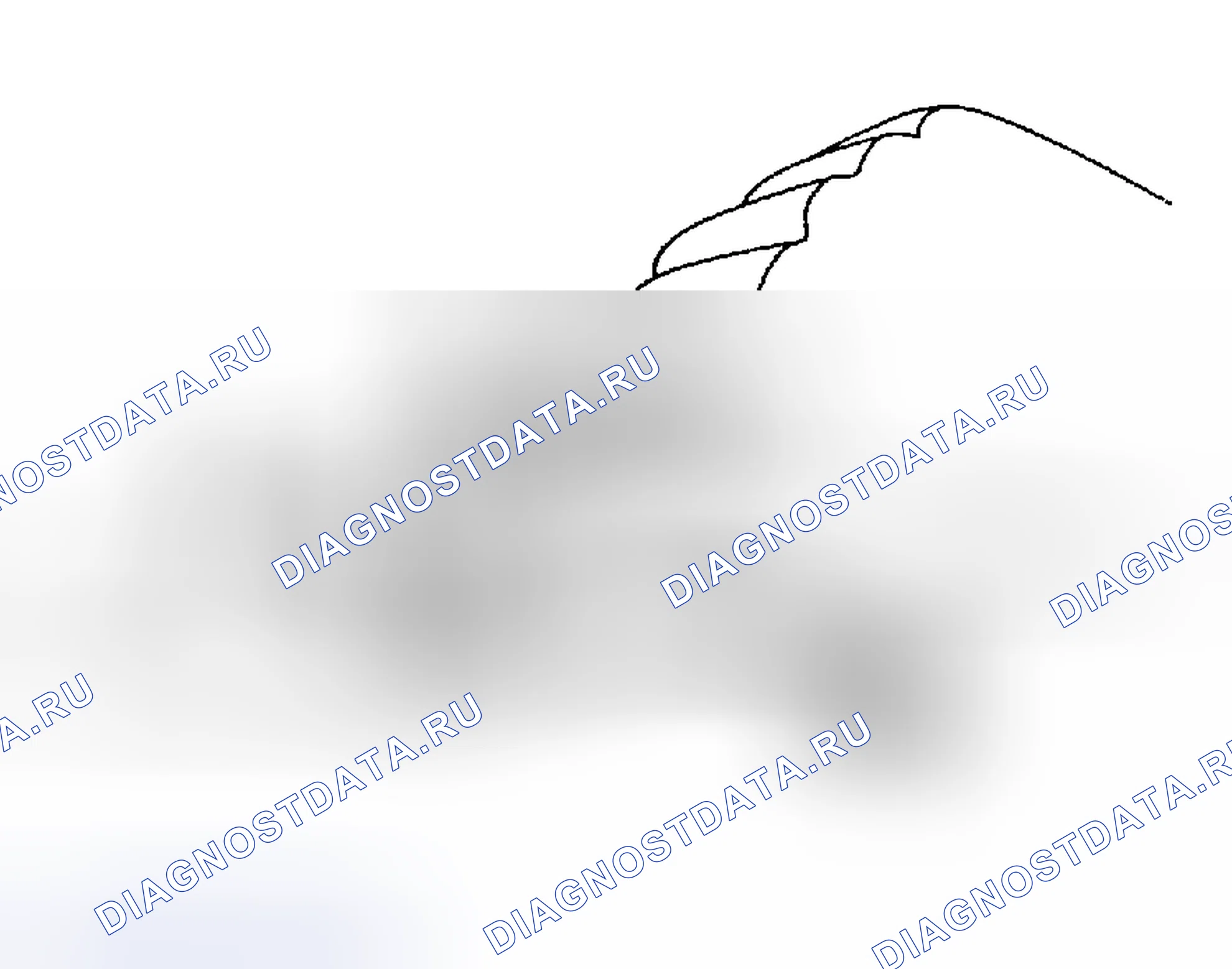 Рис. 282. Haval Menglong I