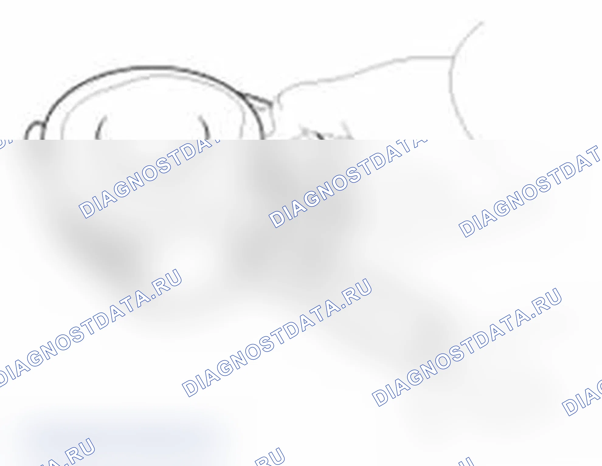 Рис. 441: Поршень и кольца. Hyundai Santa Fe II рестайлинг