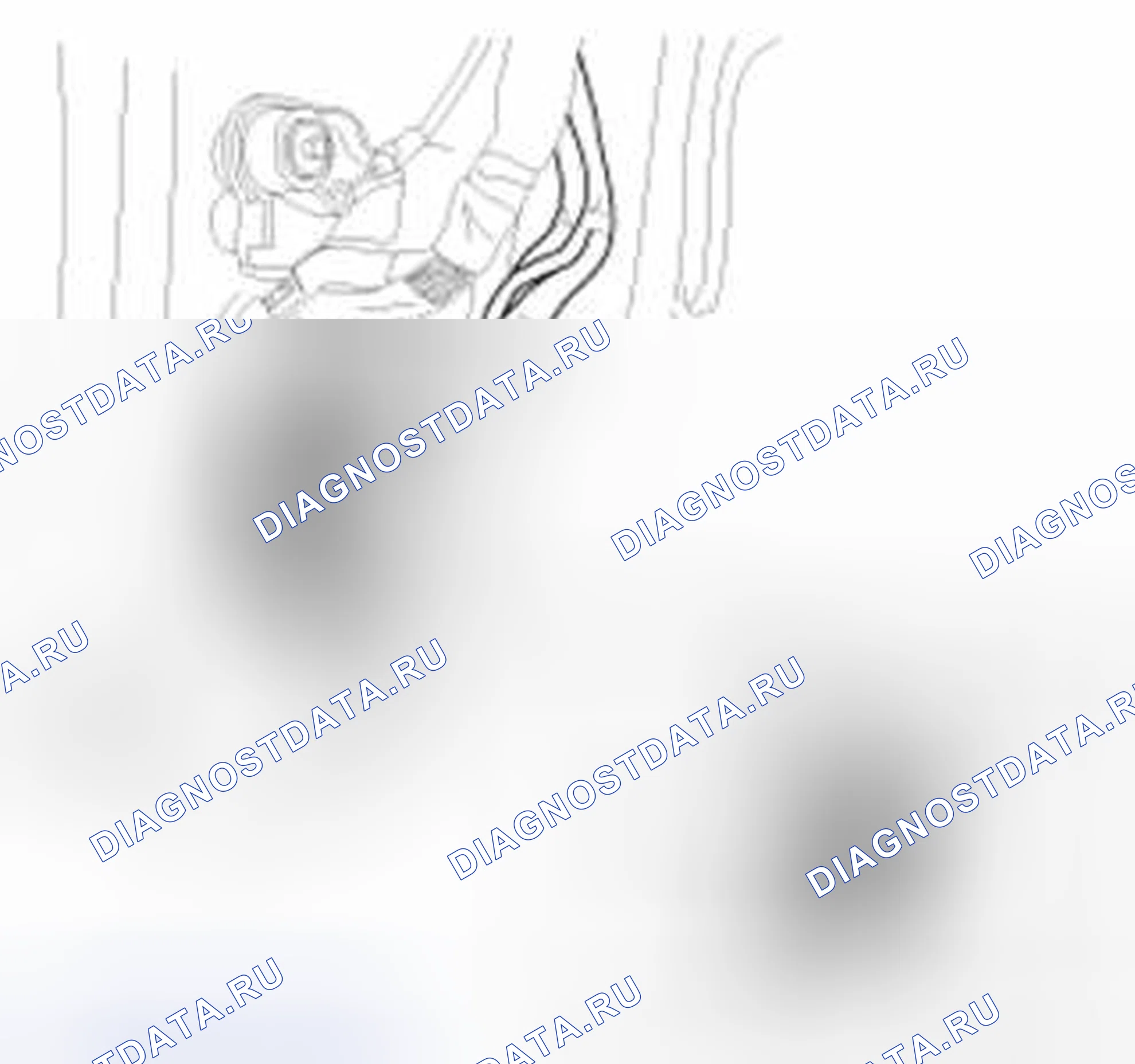 Рис. 46. Haval Beast (Shenshou) I