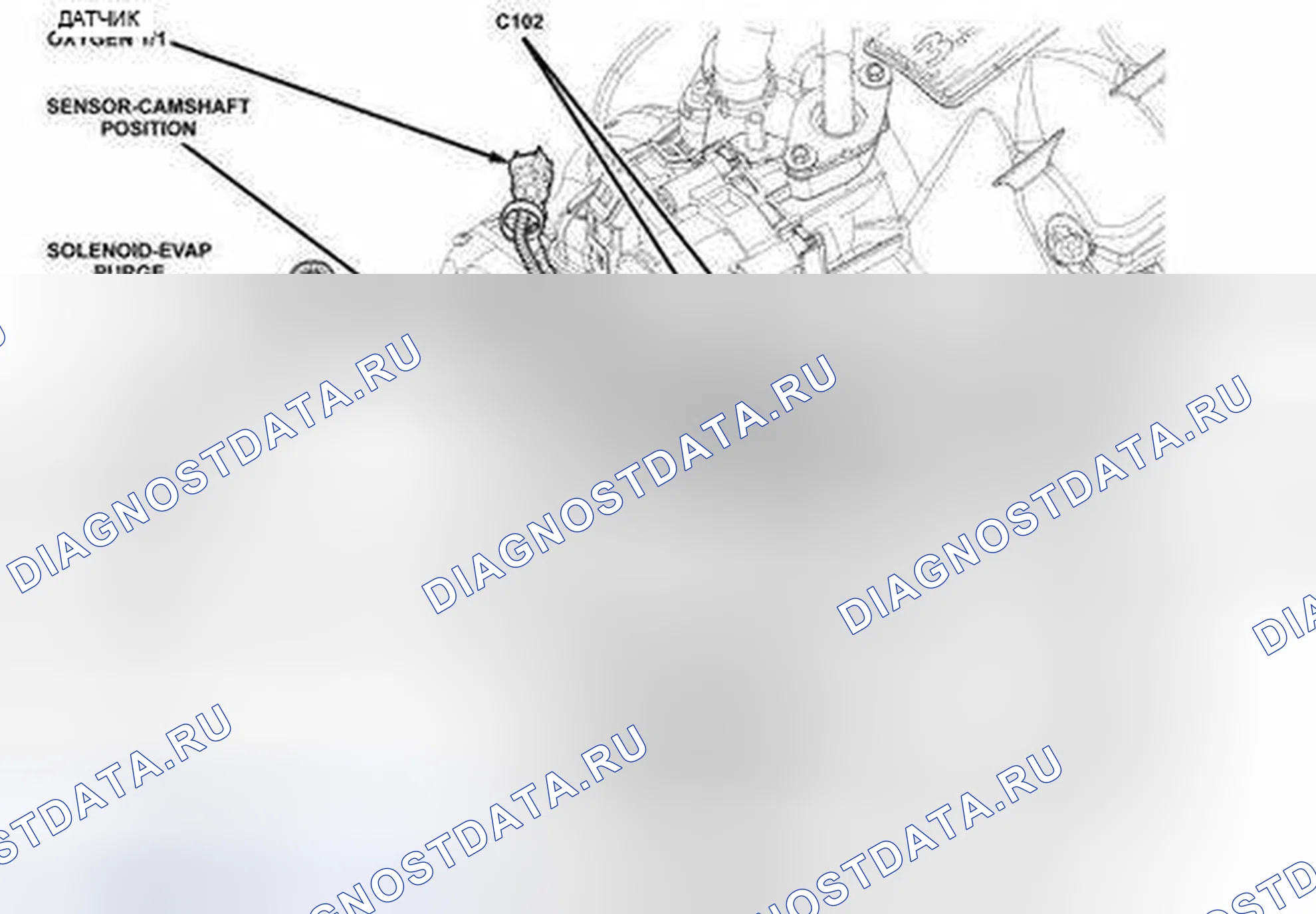 Рис. 14. Volkswagen Routan I