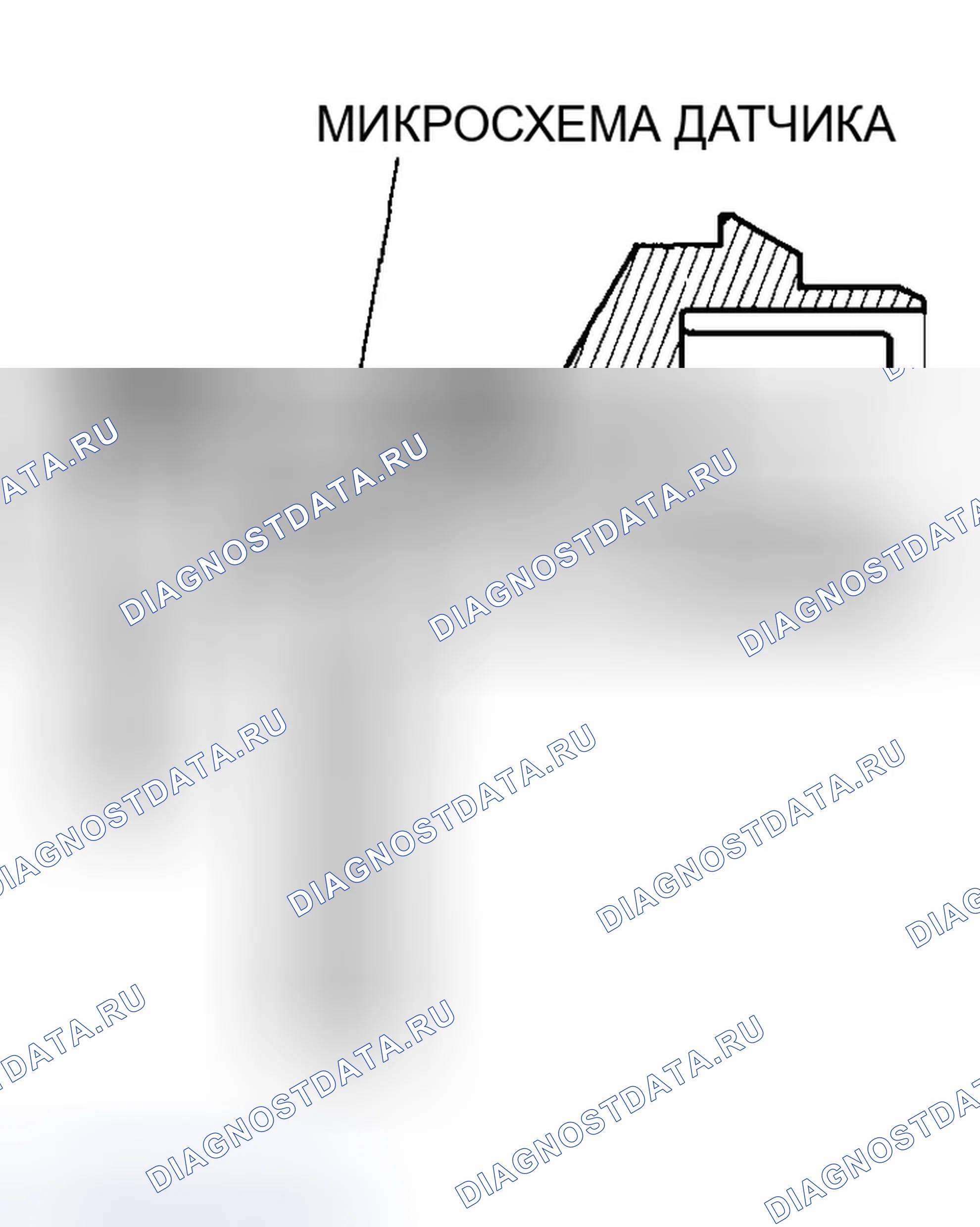 Рис. 211: Датчик давления в топливном баке (FTP). Honda Accord VI