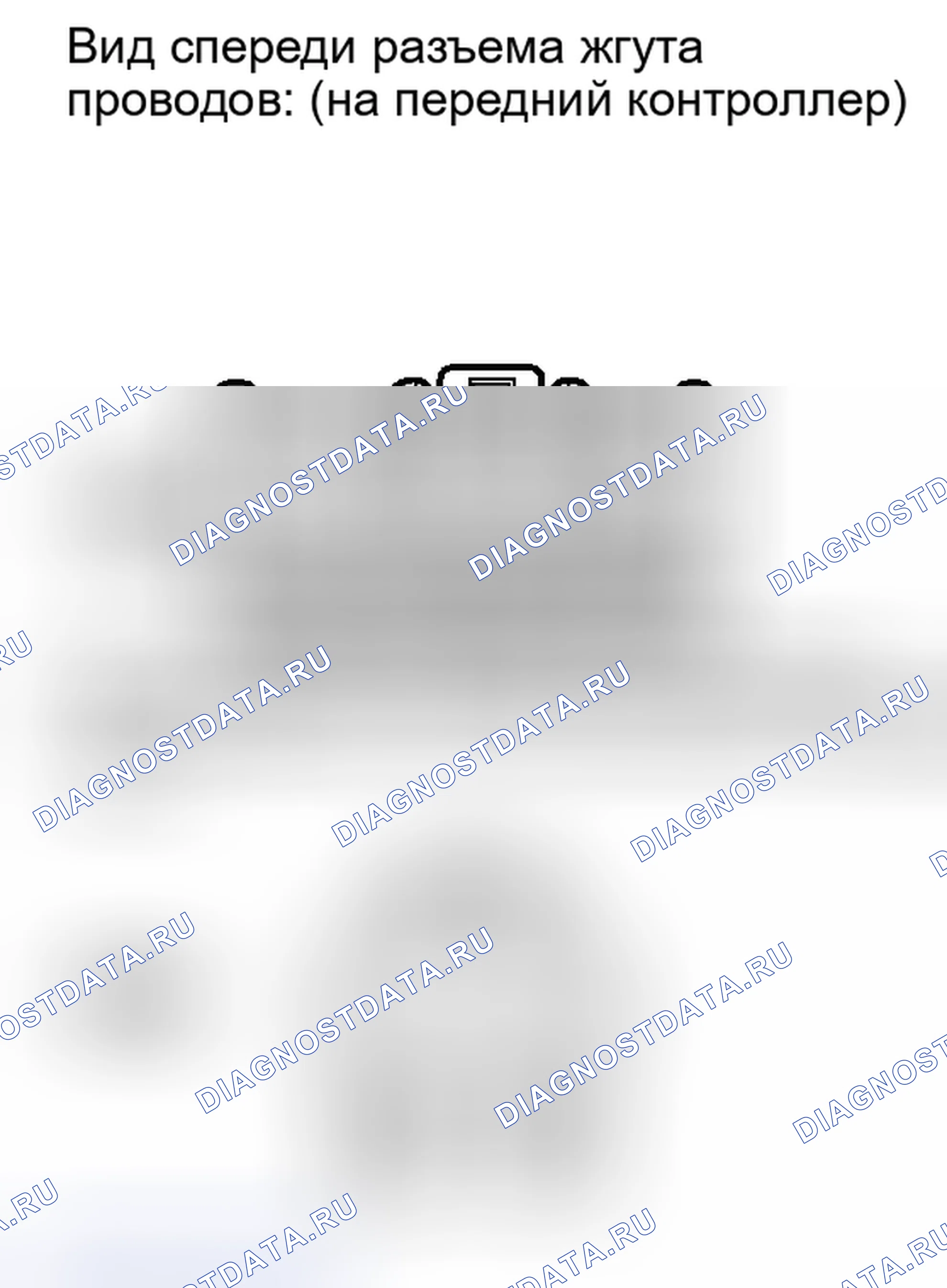 Рис. 212. Lexus IS F I