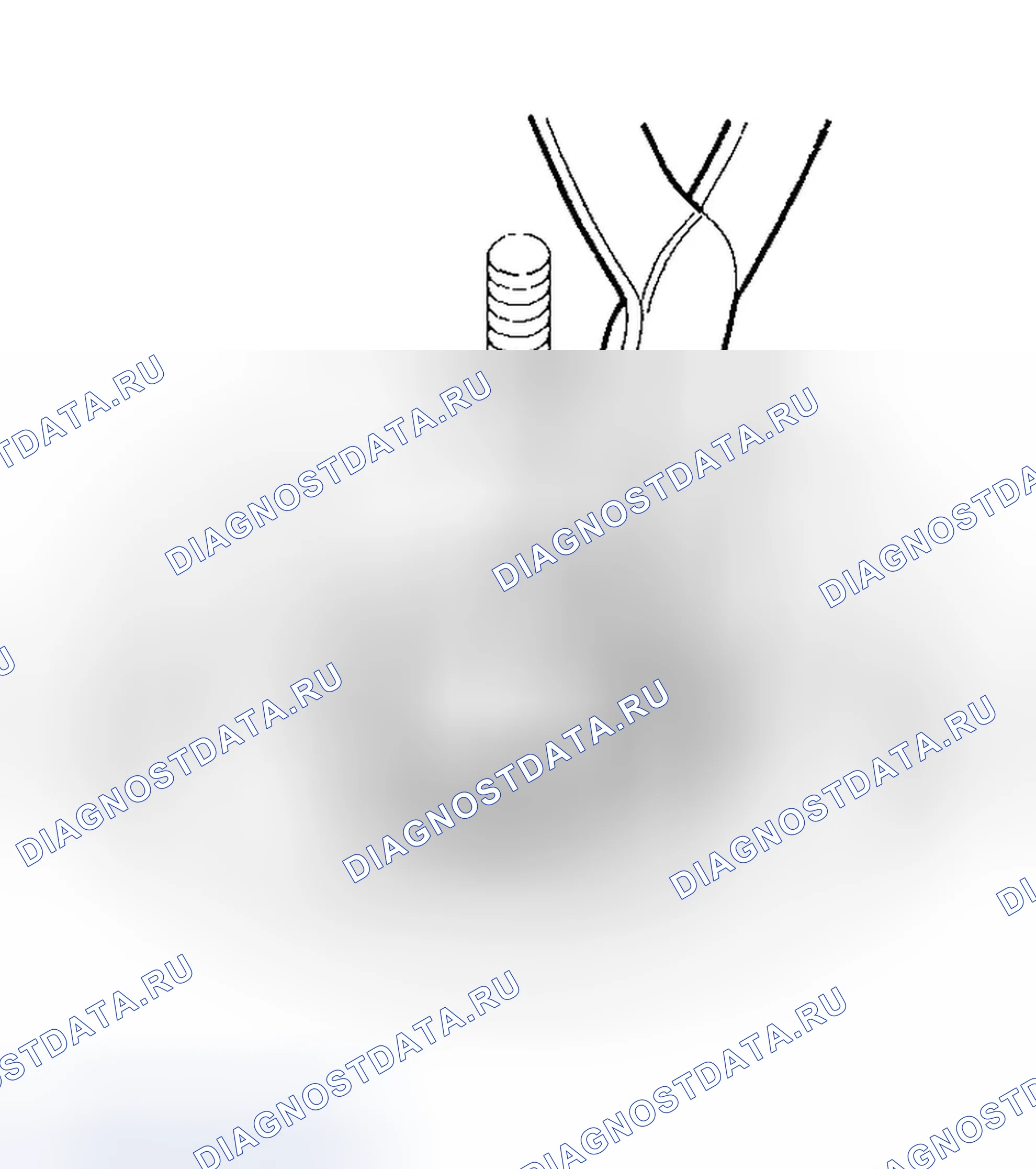 Рис. 323. Honda Element YH2