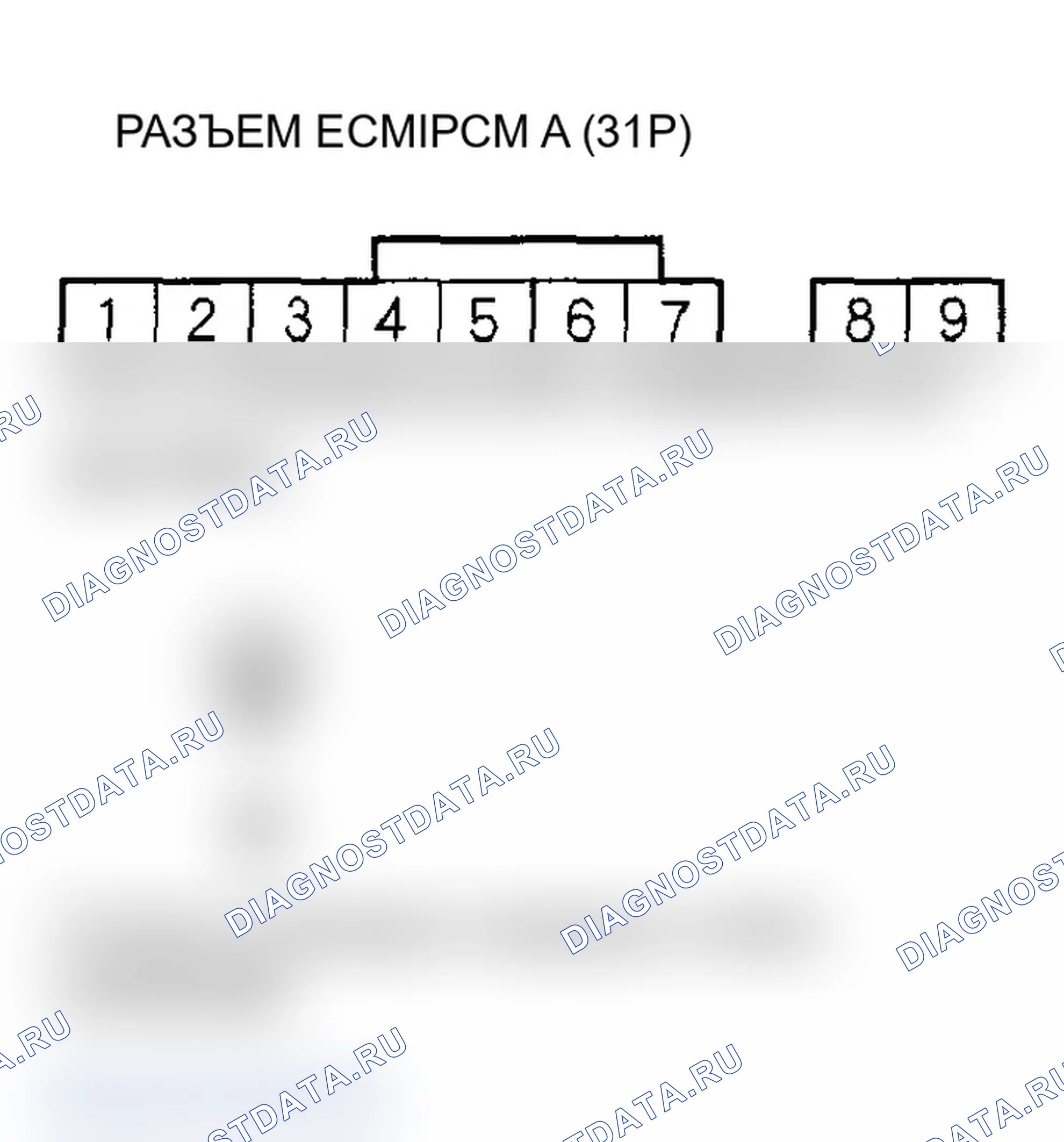 Рис. 384. Acura RSX I рестайлинг