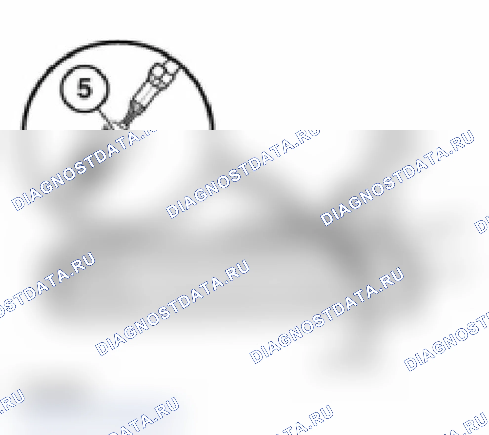 Рис. 46. BMW X5 M E70