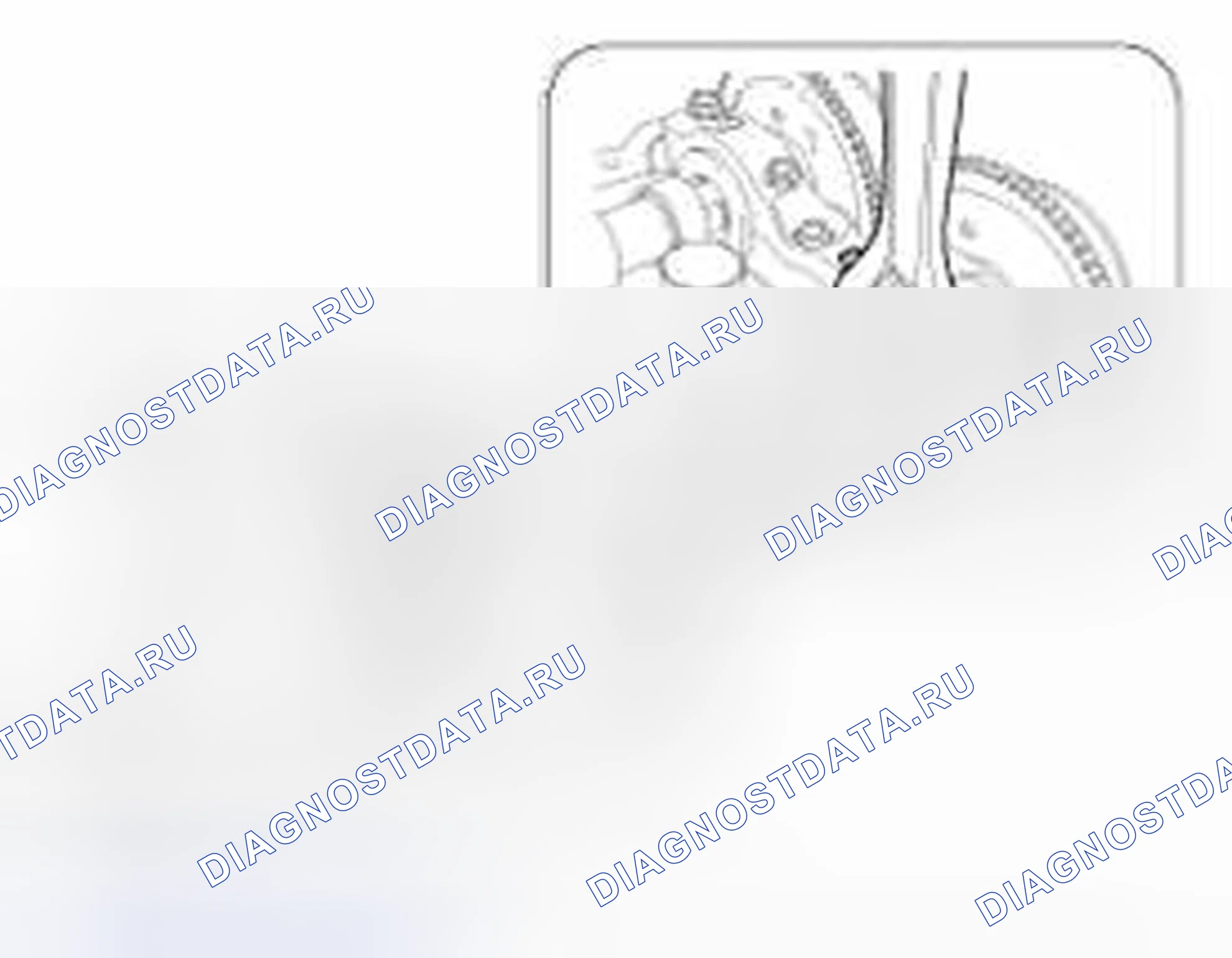 Рис. 379. Geely Vision X3 Pro I
