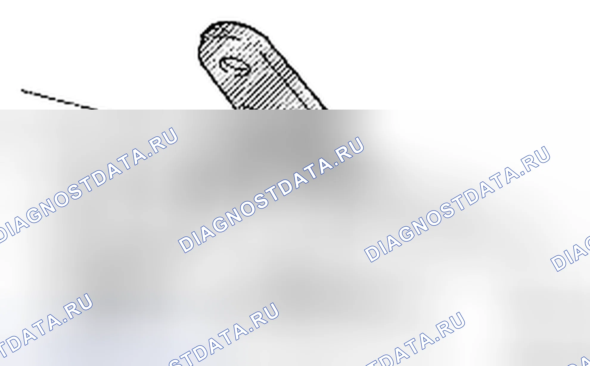 Рис. 295. Toyota Yaris II