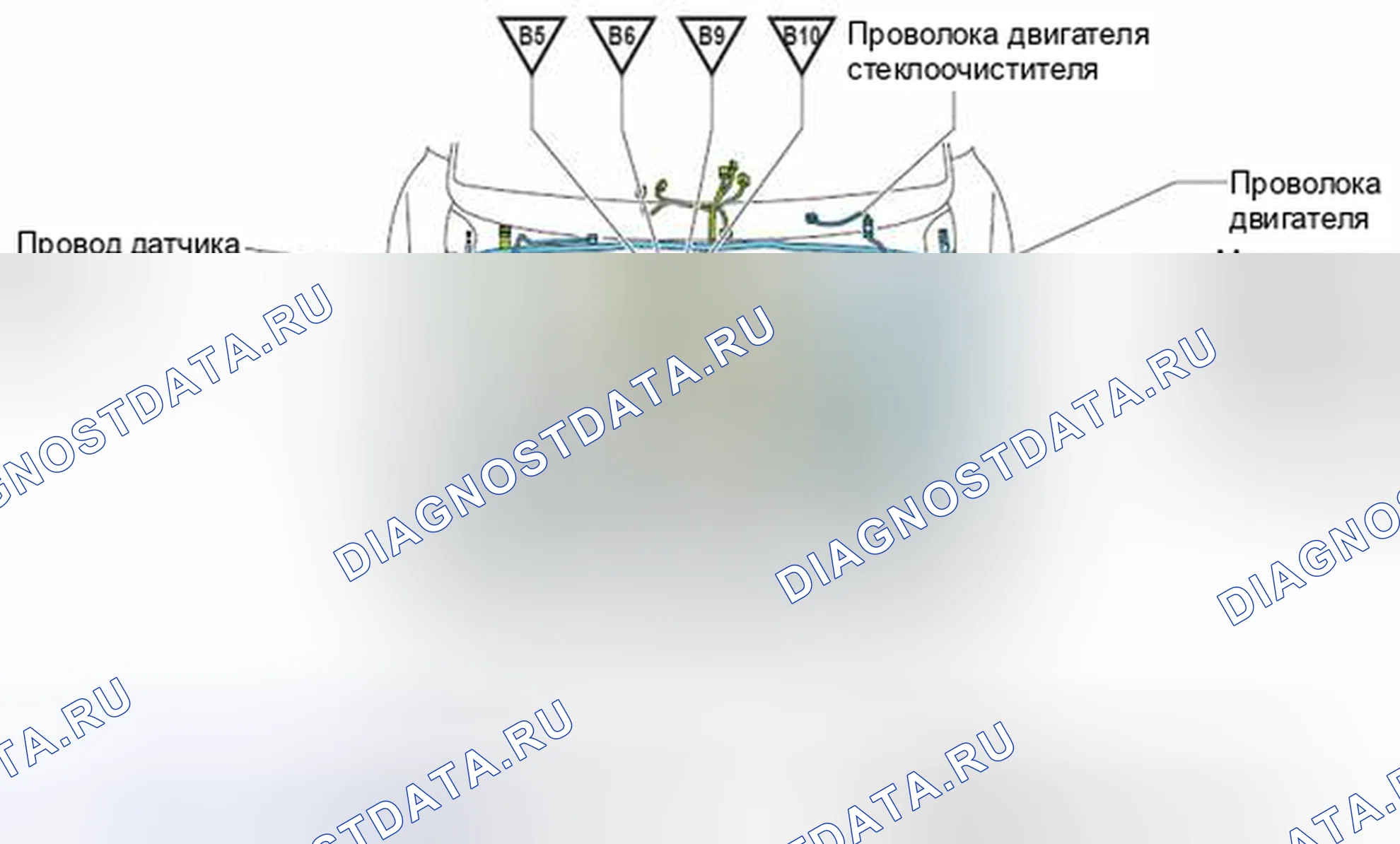 Рис. 506: Расположение наземных точек. Toyota 4Runner V