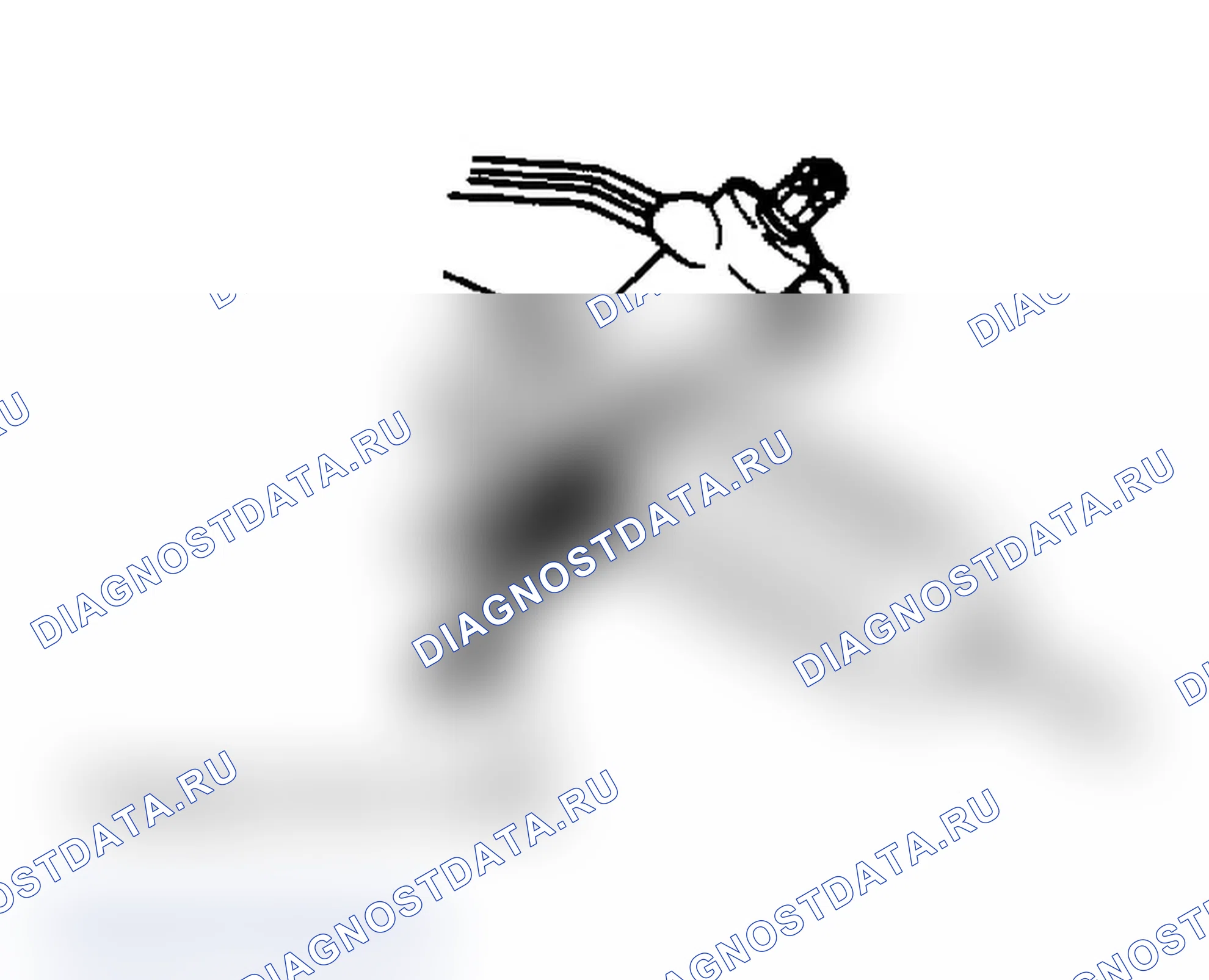 Рис. 2. Dodge Grand Caravan I
