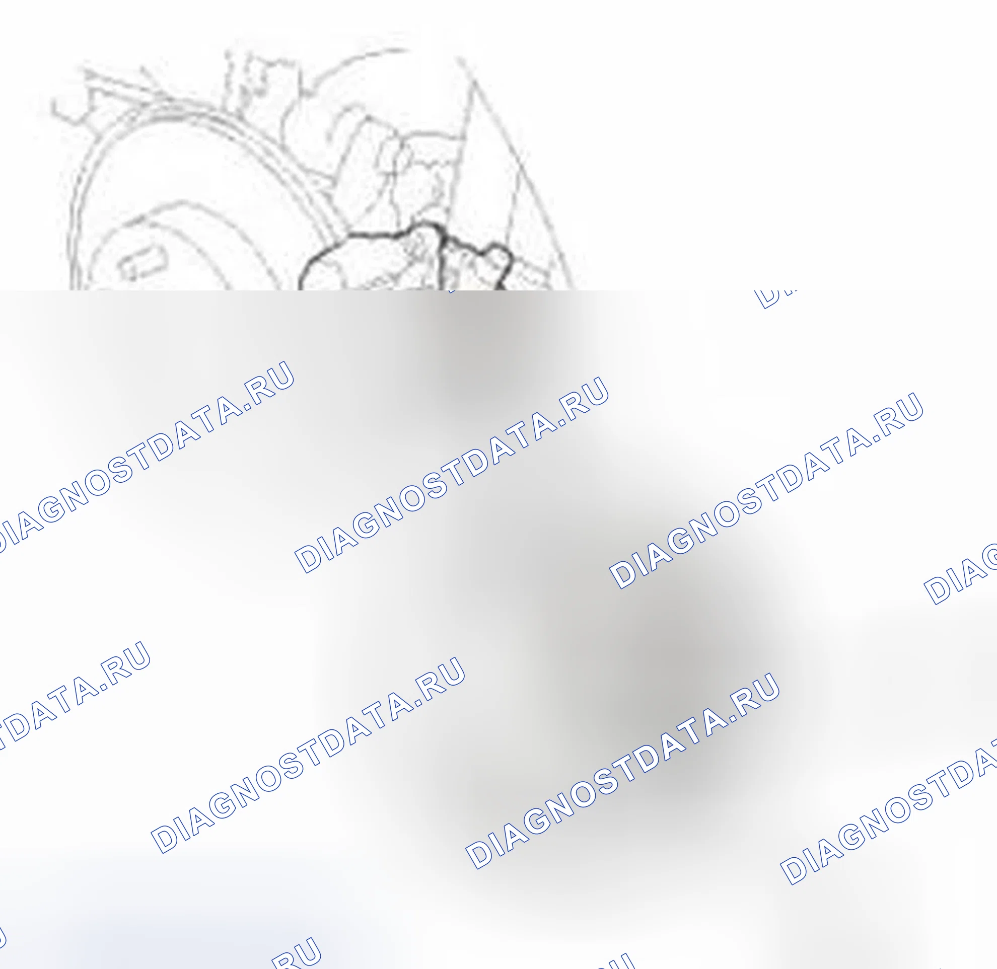 Рис. 486. Honda Civic IX