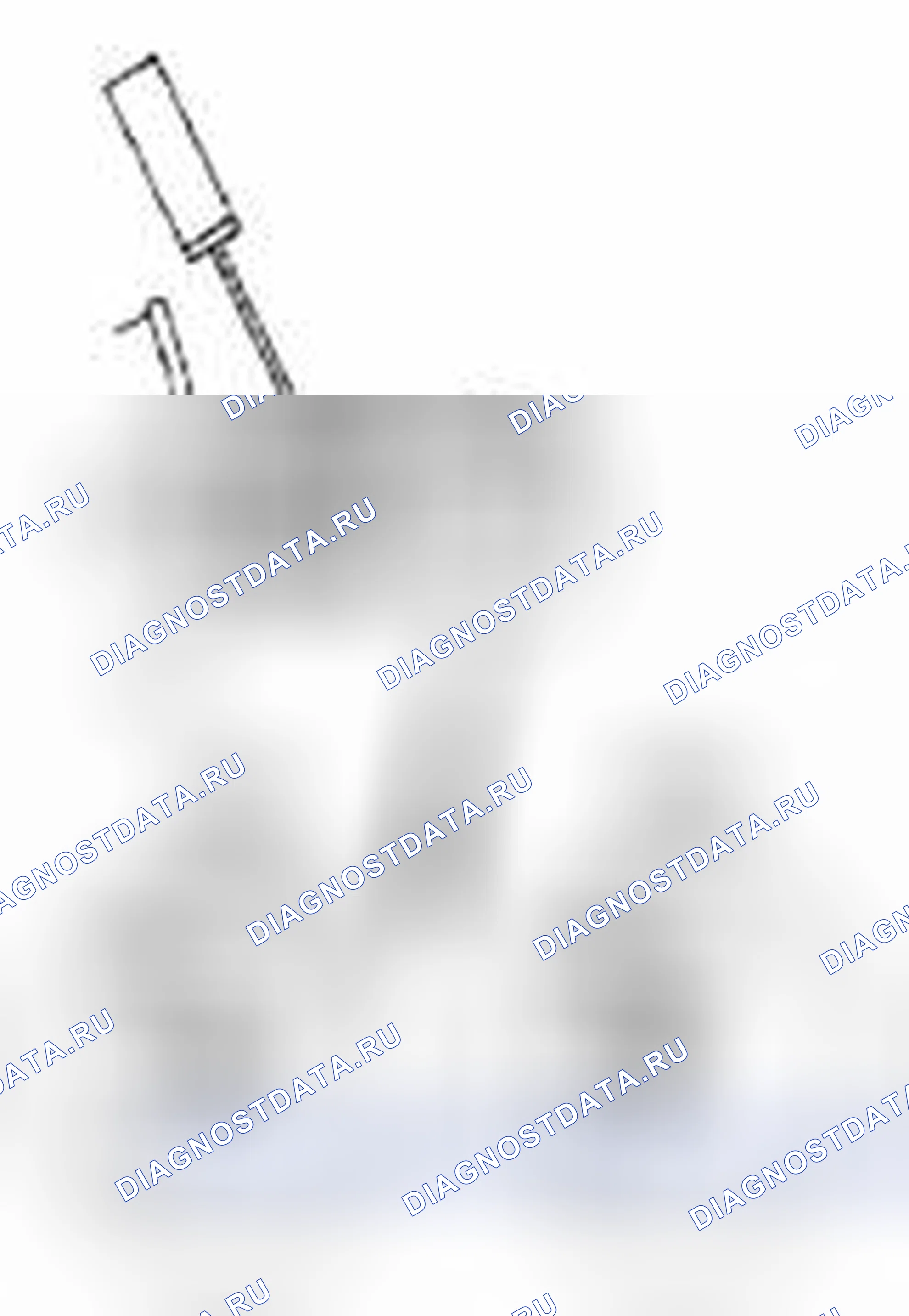Рис. 185. Suzuki Equator I