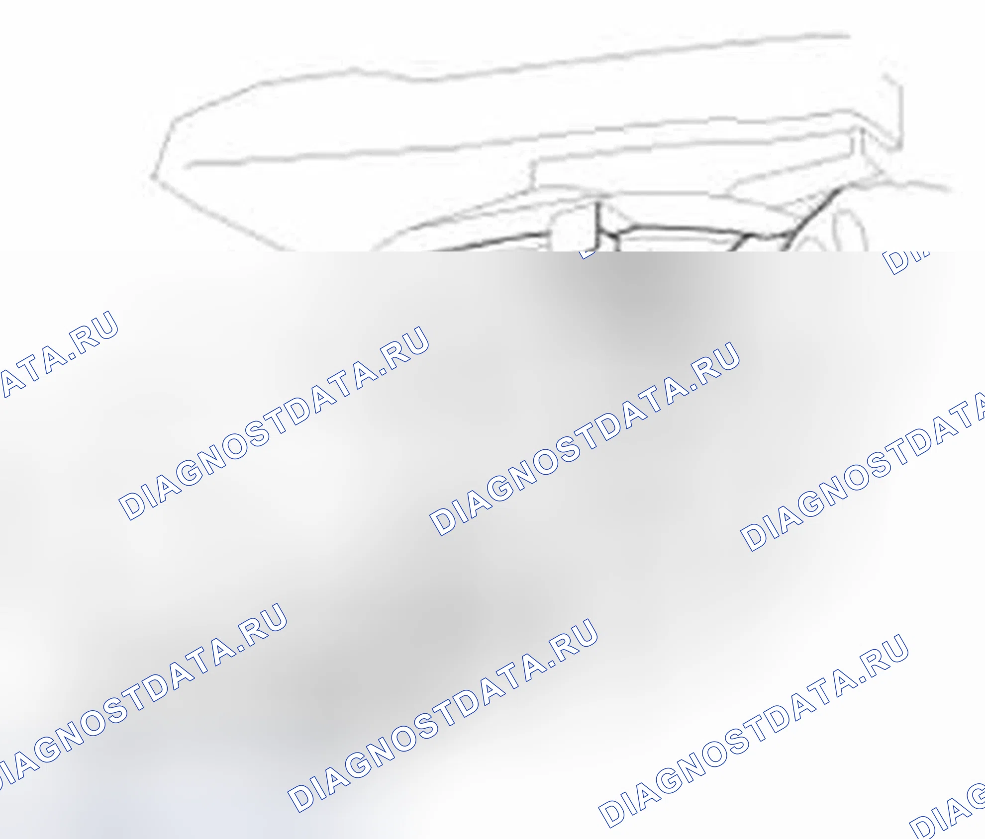 Рис. 15. Honda CR-V IV