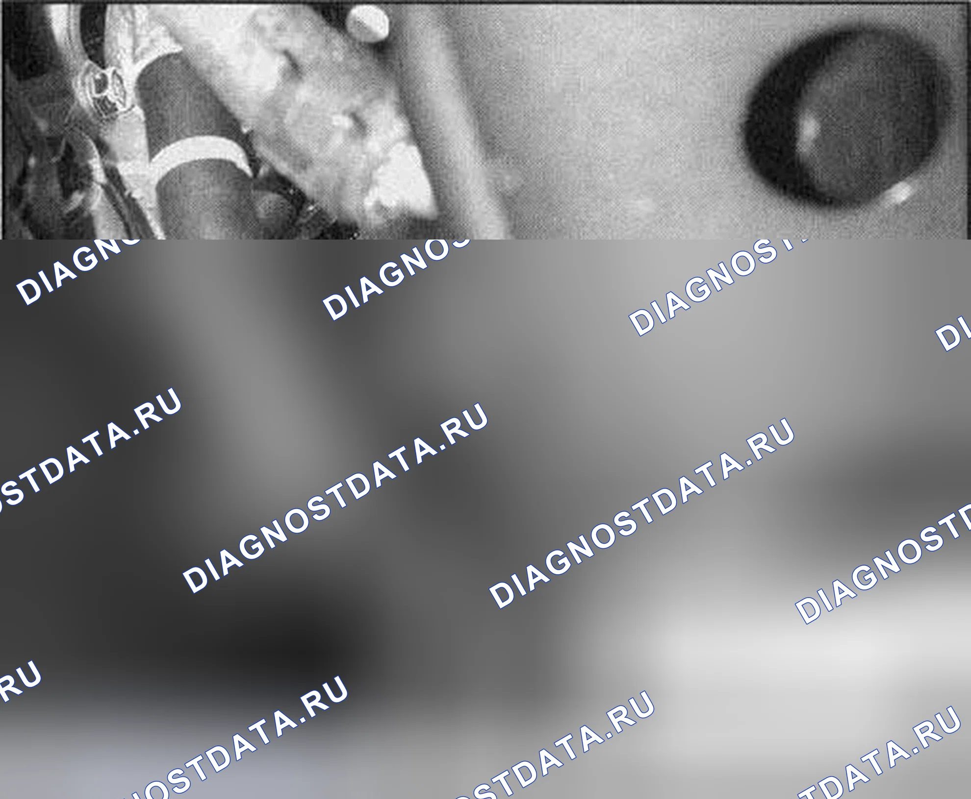 Рис. 310. Honda Civic VII рестайлинг