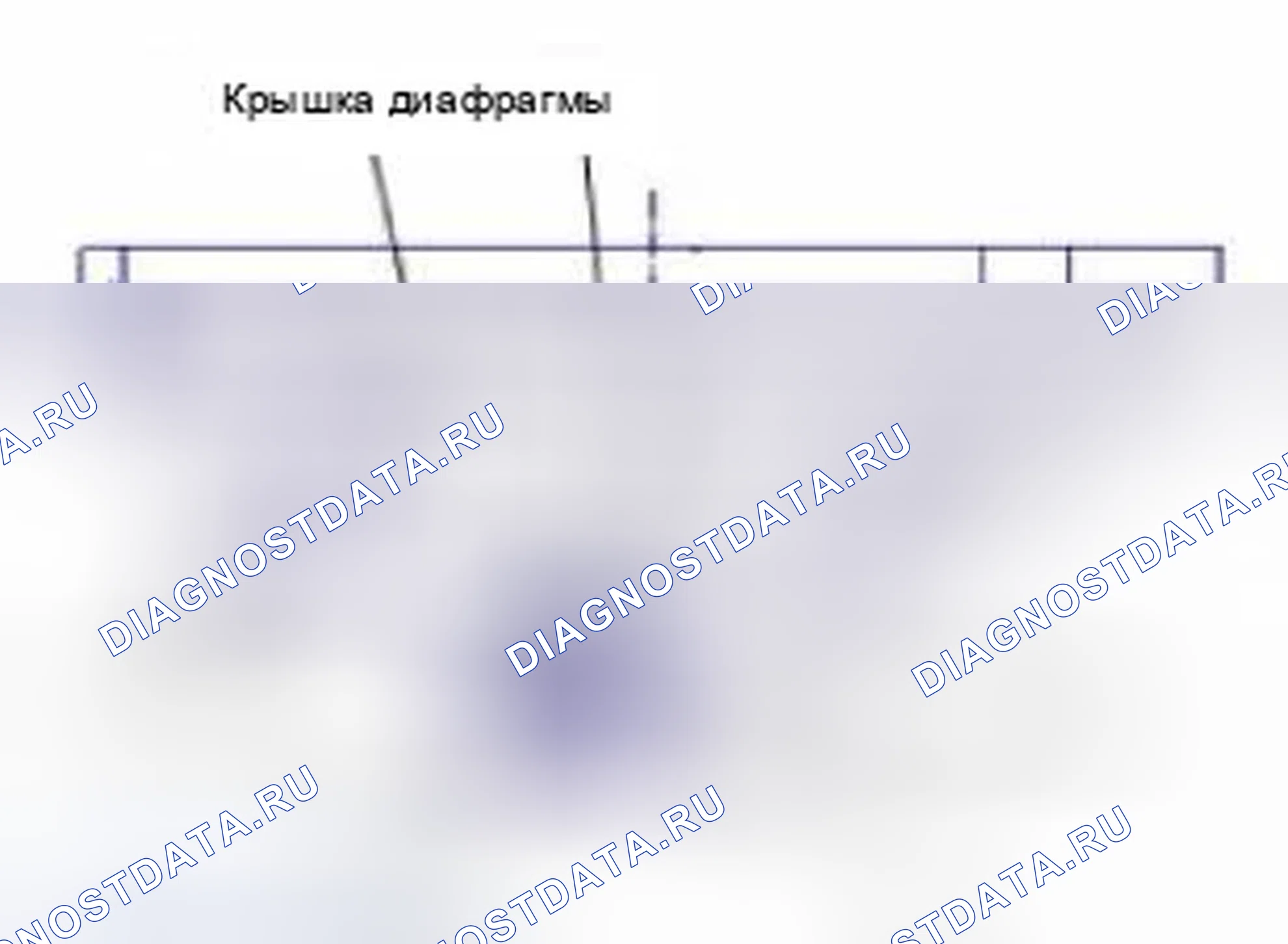Рис. 101. Hyundai Sonata VI