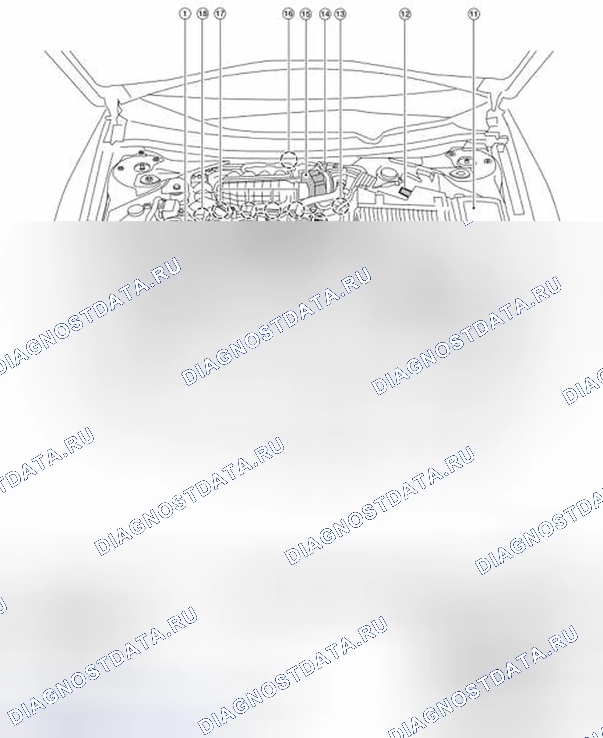 Рис. 9: Расположение компонентов. Nissan Altima L33