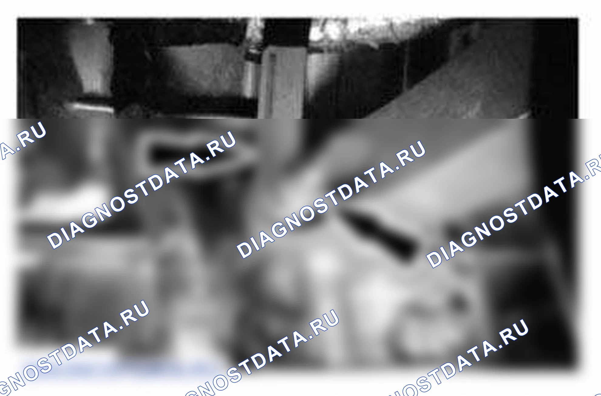 Рис. 432. Ford Mustang V рестайлинг