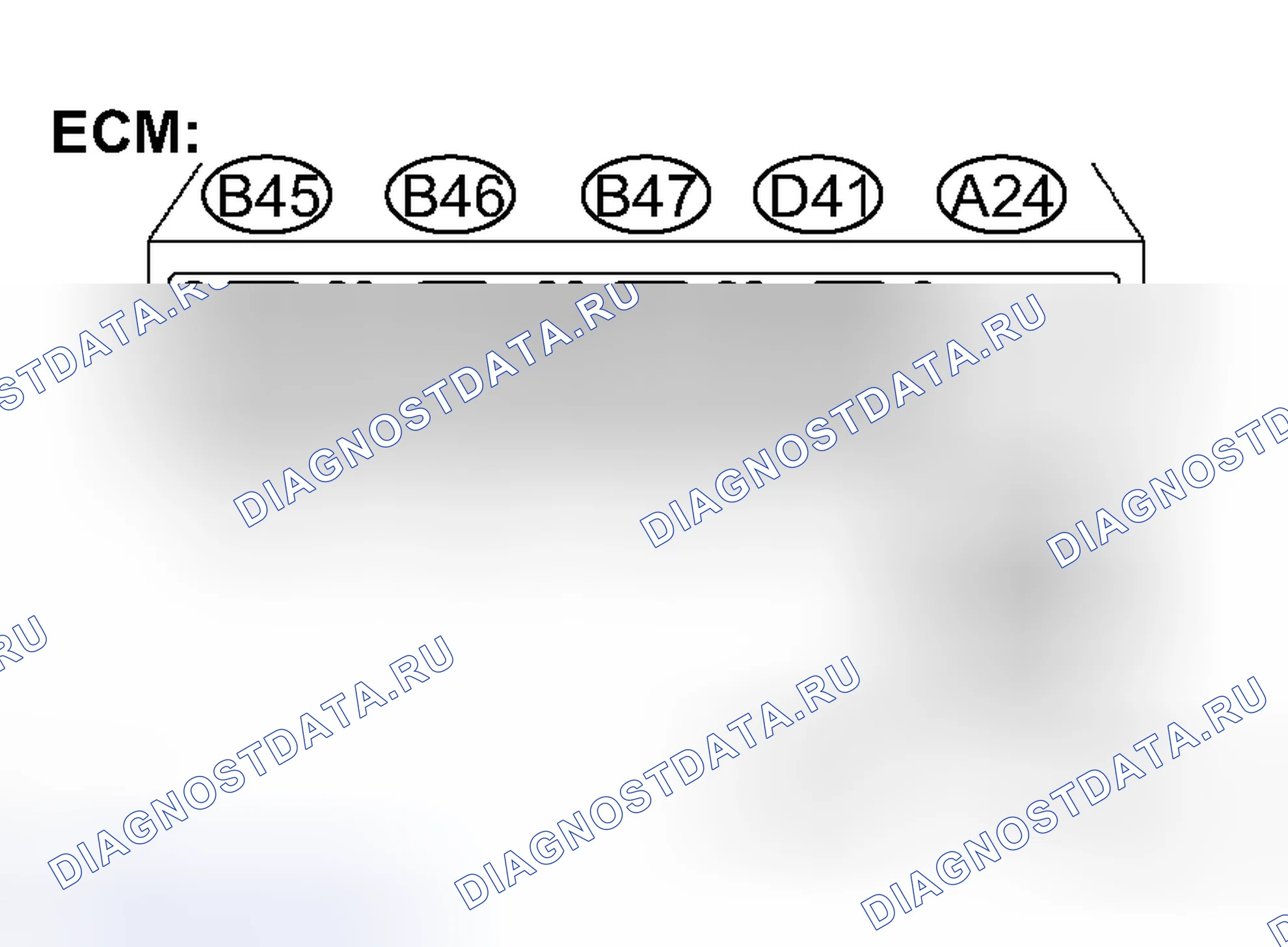 Рис. 496. Toyota Avalon XX30