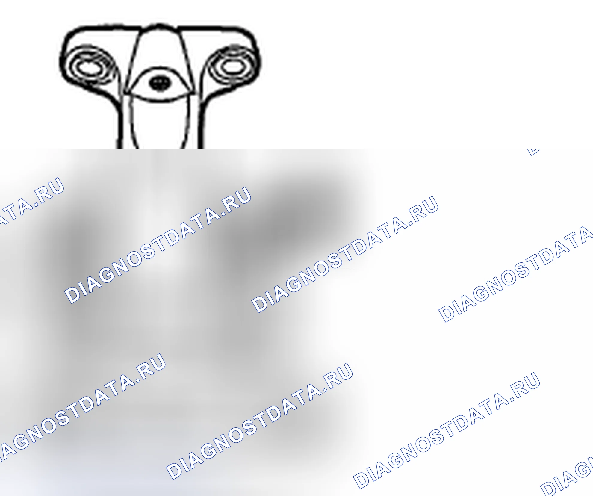 Рис. 42. Subaru Legacy BM/BR