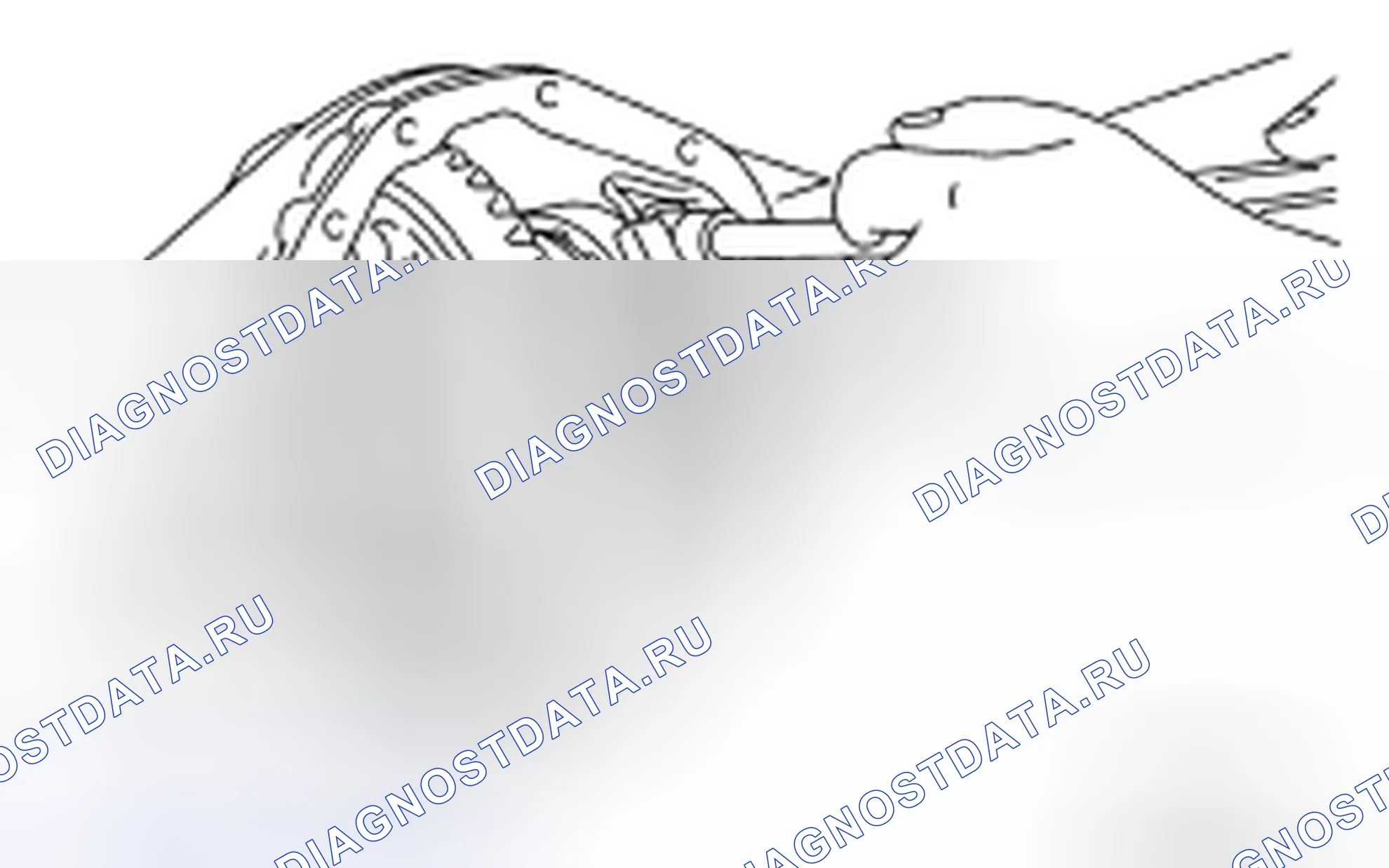 Рис. 277. Honda Torneo I