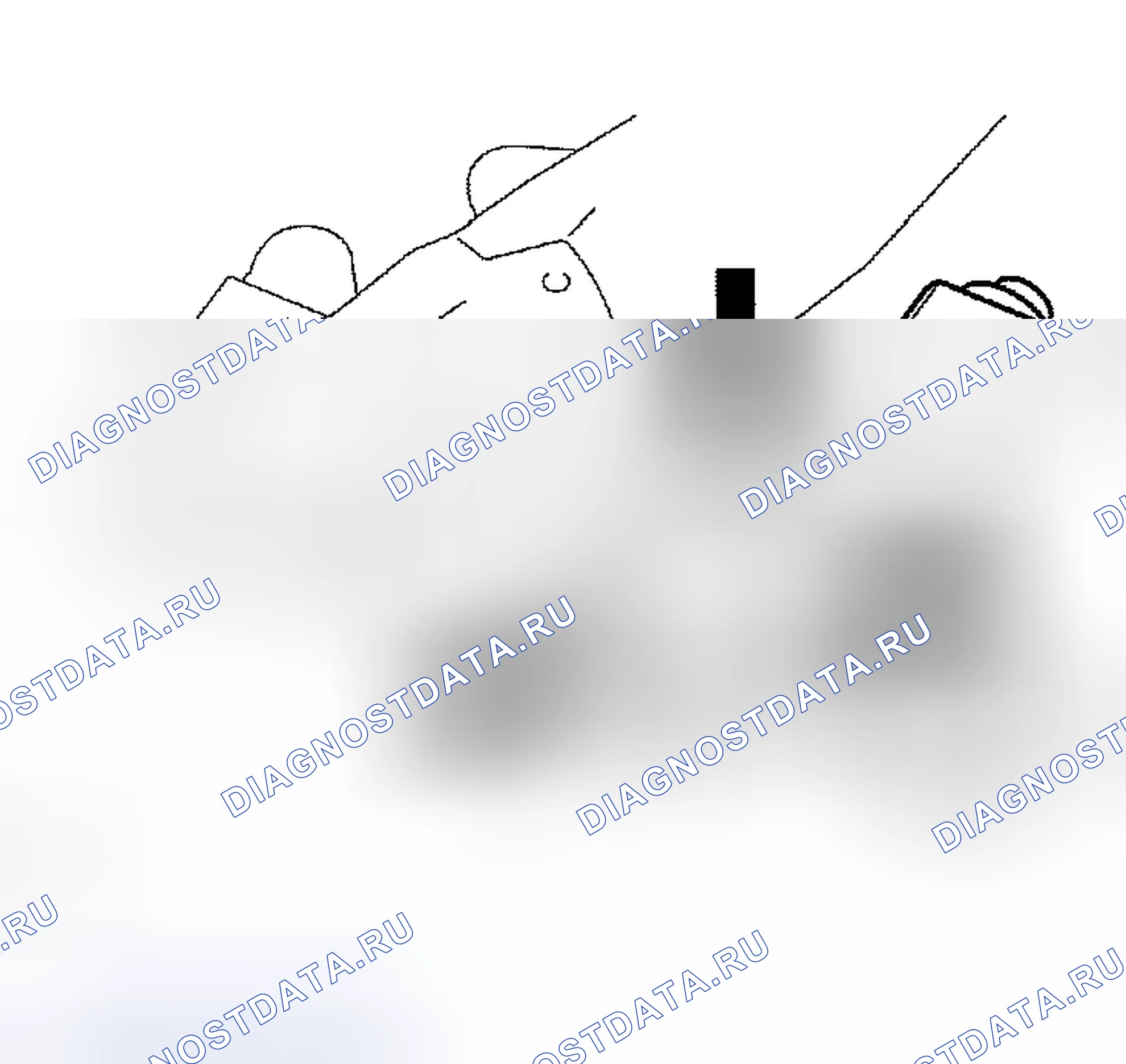 Рис. 99. Scion xB I