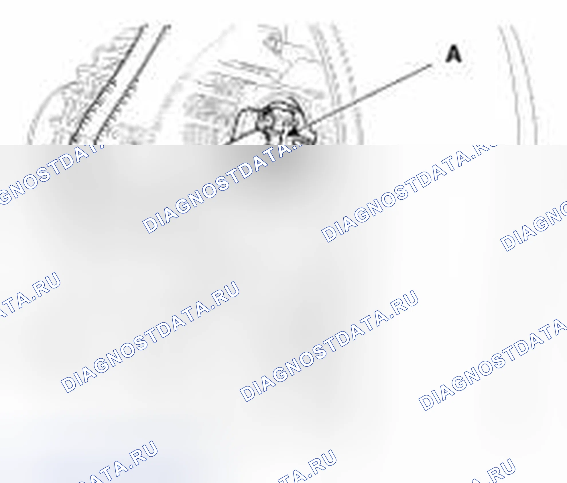 Рис. 181. Geely Vision X3 Pro I