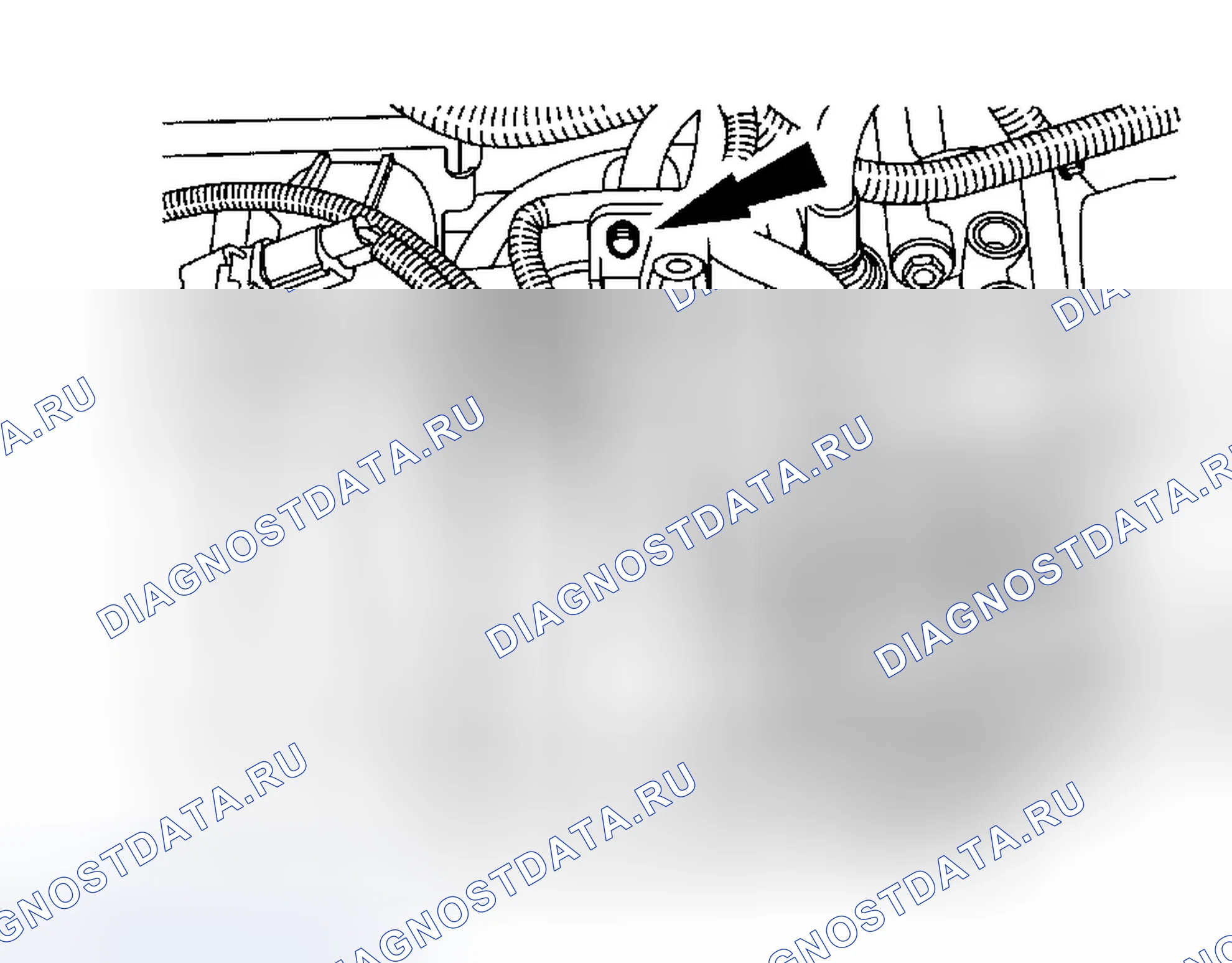 Рис. 1384. Ford Focus I рестайлинг