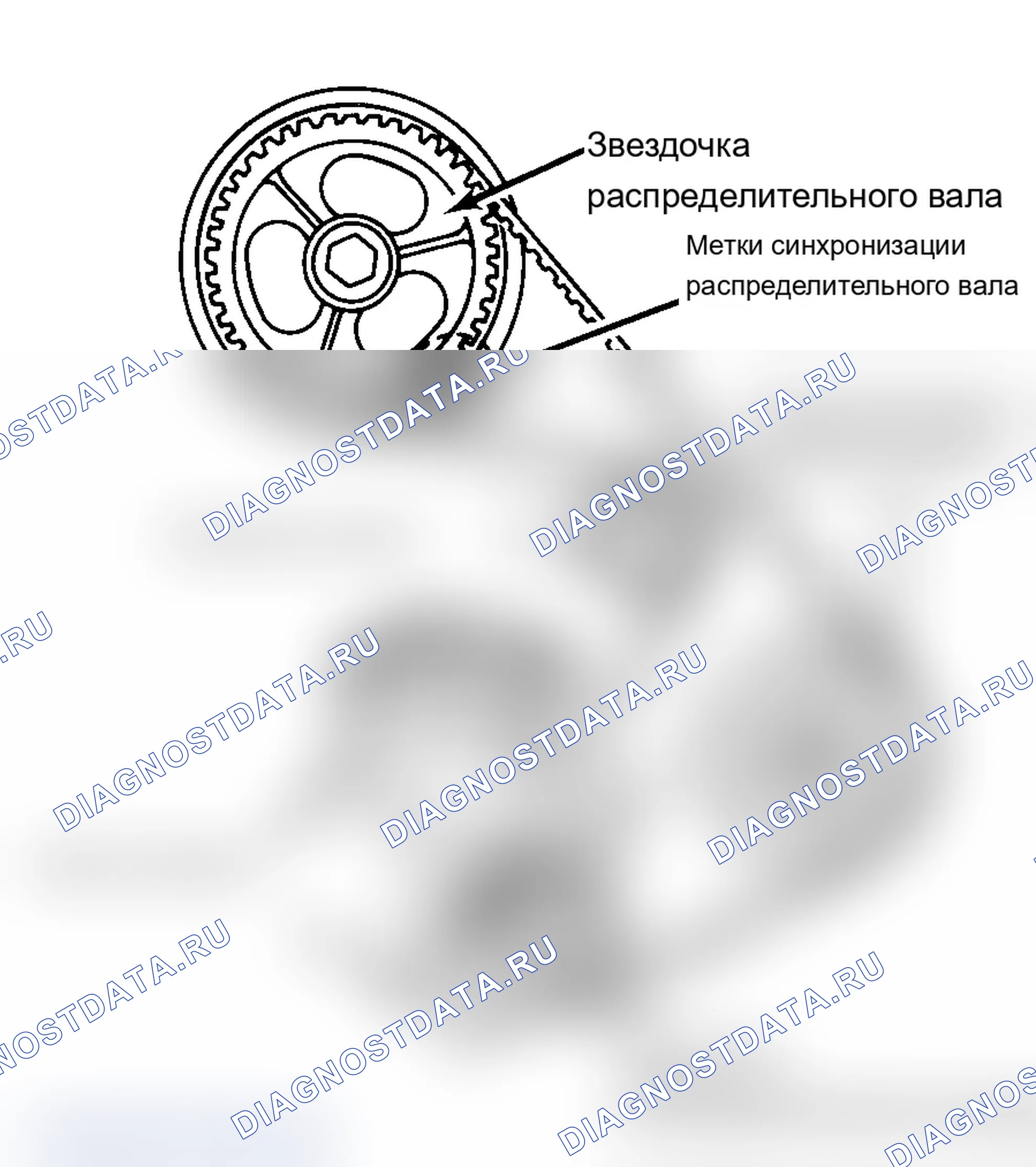 Рис. 27: Типичная центровка звездочки ремня распределительного вала. BMW X5 M E70