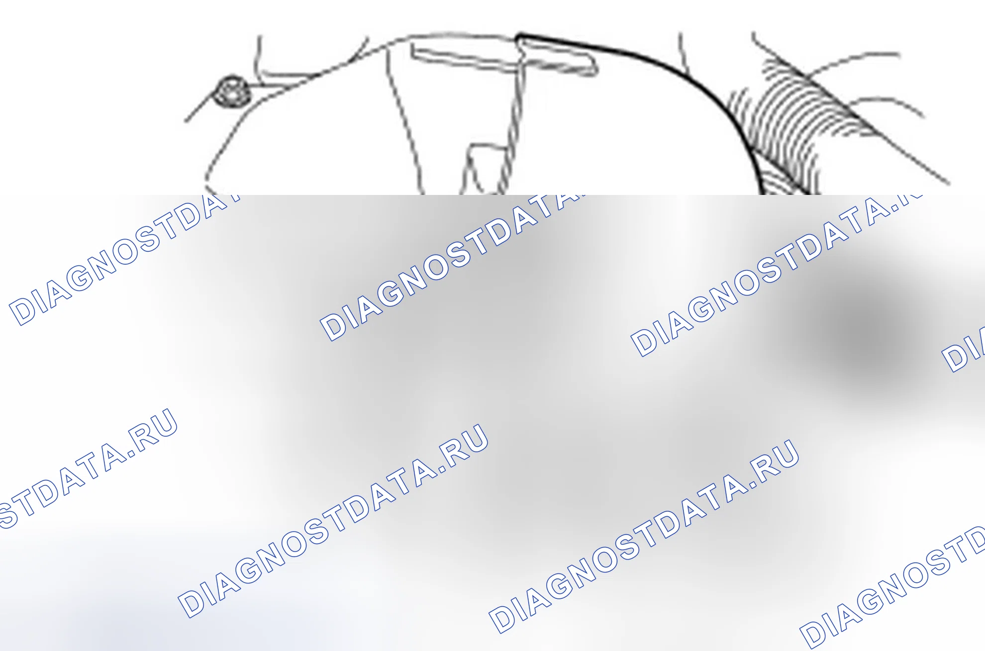 Рис. 471. Ford Focus II