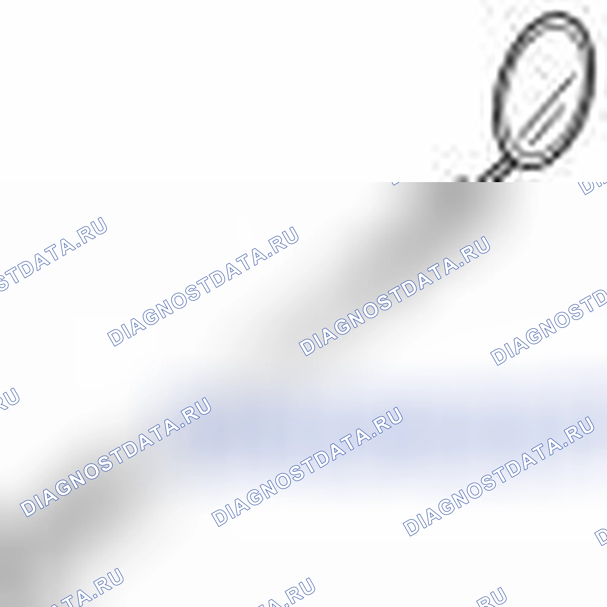 Рис. 134. Volvo V50 I