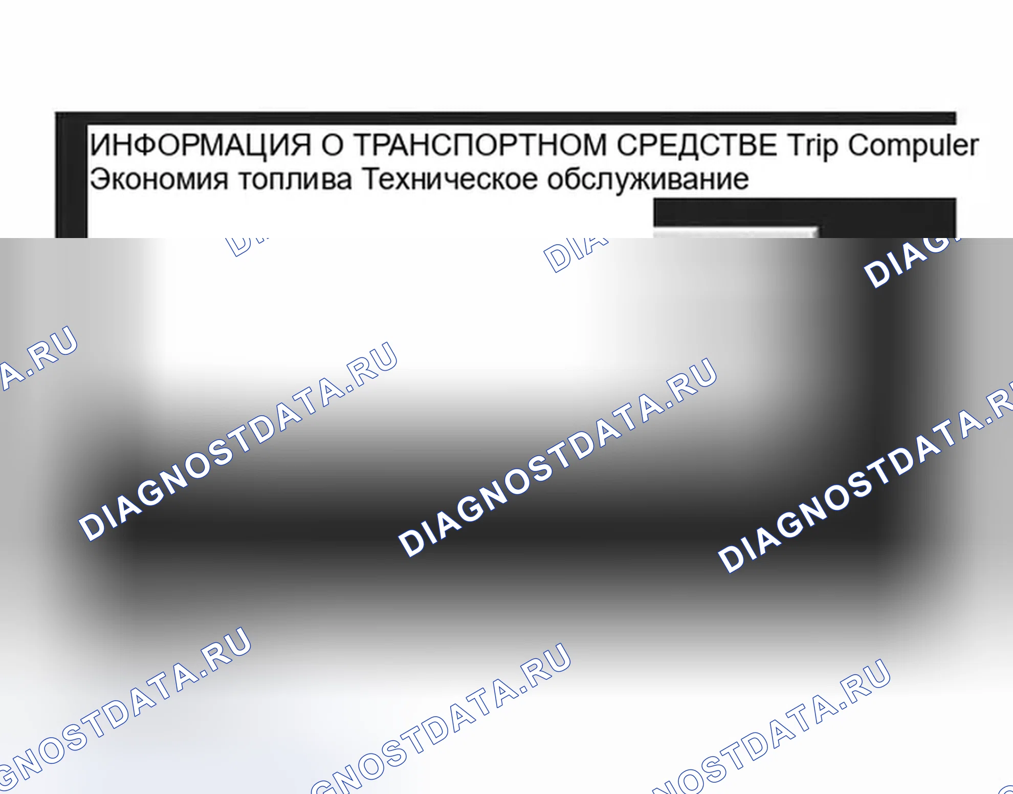 Рис. 267: Дисплей с нажатым переключателем " INFO ". Infiniti G35 III
