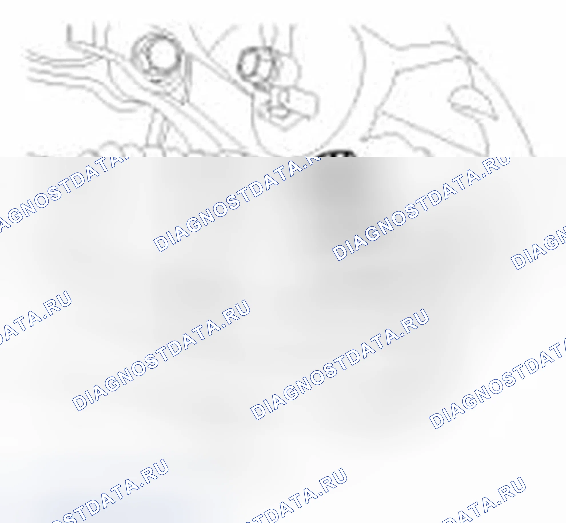 Рис. 18. Hyundai Veloster I