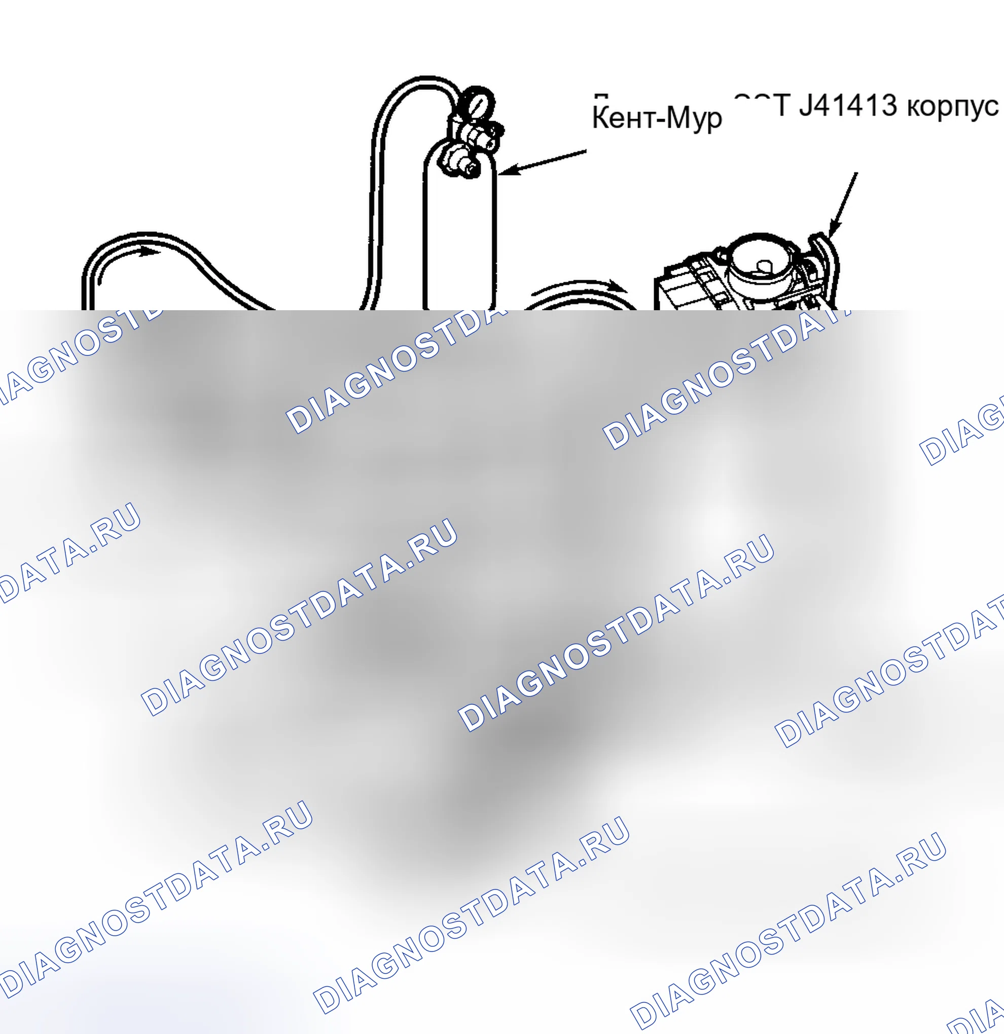 Рис. 11: расшифровка кода ошибки P0441: Неисправность продувочного клапана EVAP. Kia Optima I рестайлинг