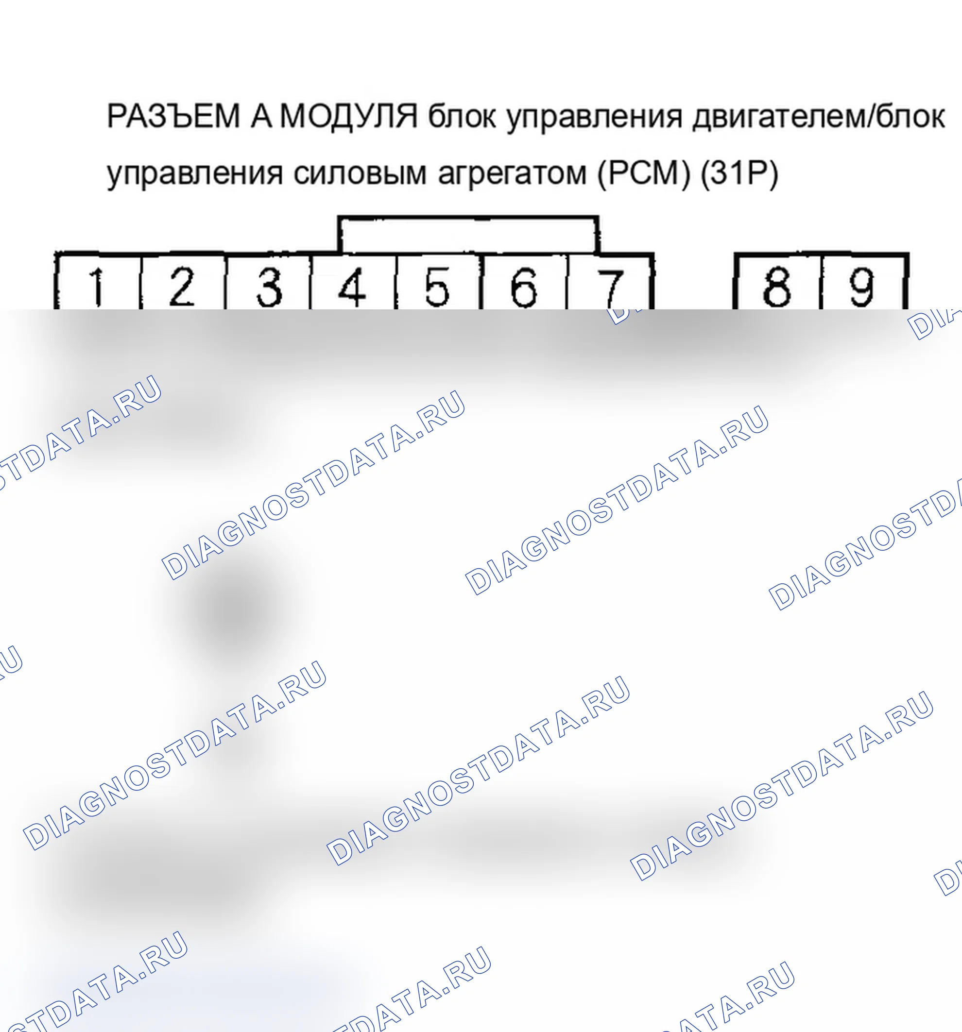 Рис. 383. Acura RSX I