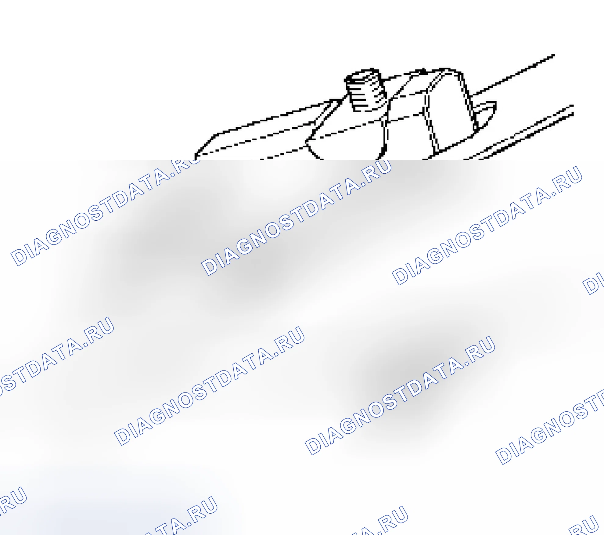 Рис. 15. Isuzu Axiom I