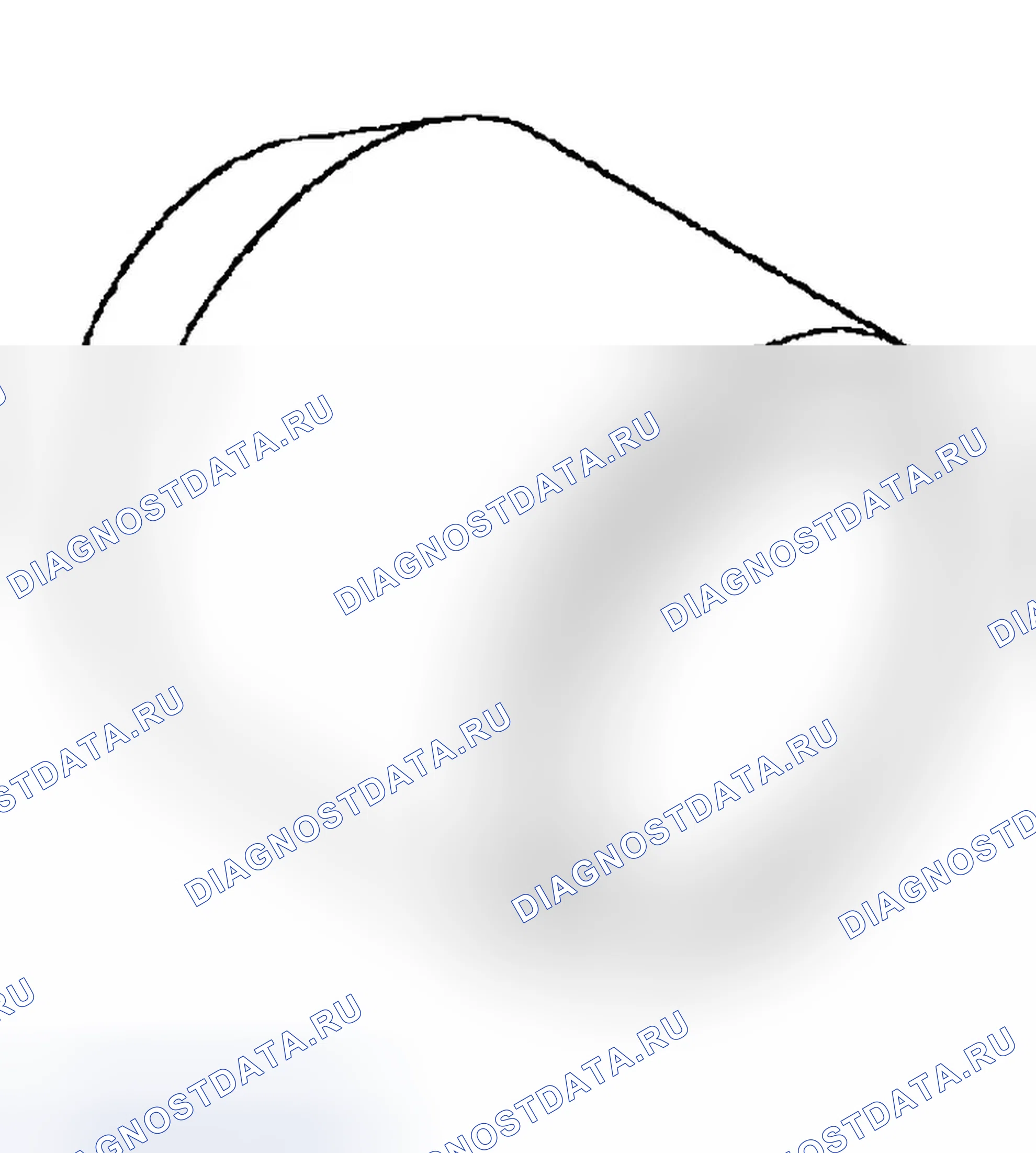 Рис. 10. Dodge Pickup R1500 