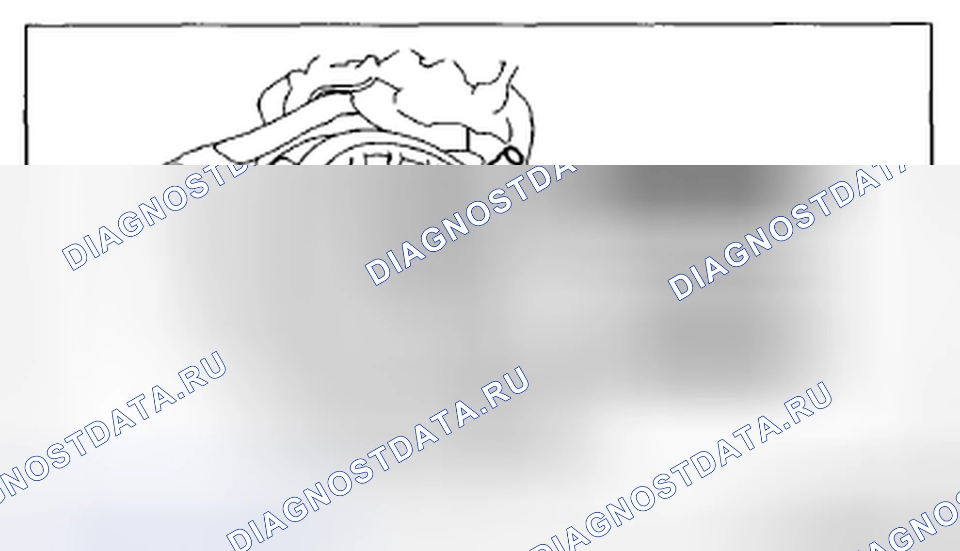 Рис. 47. Mazda CX-5 I