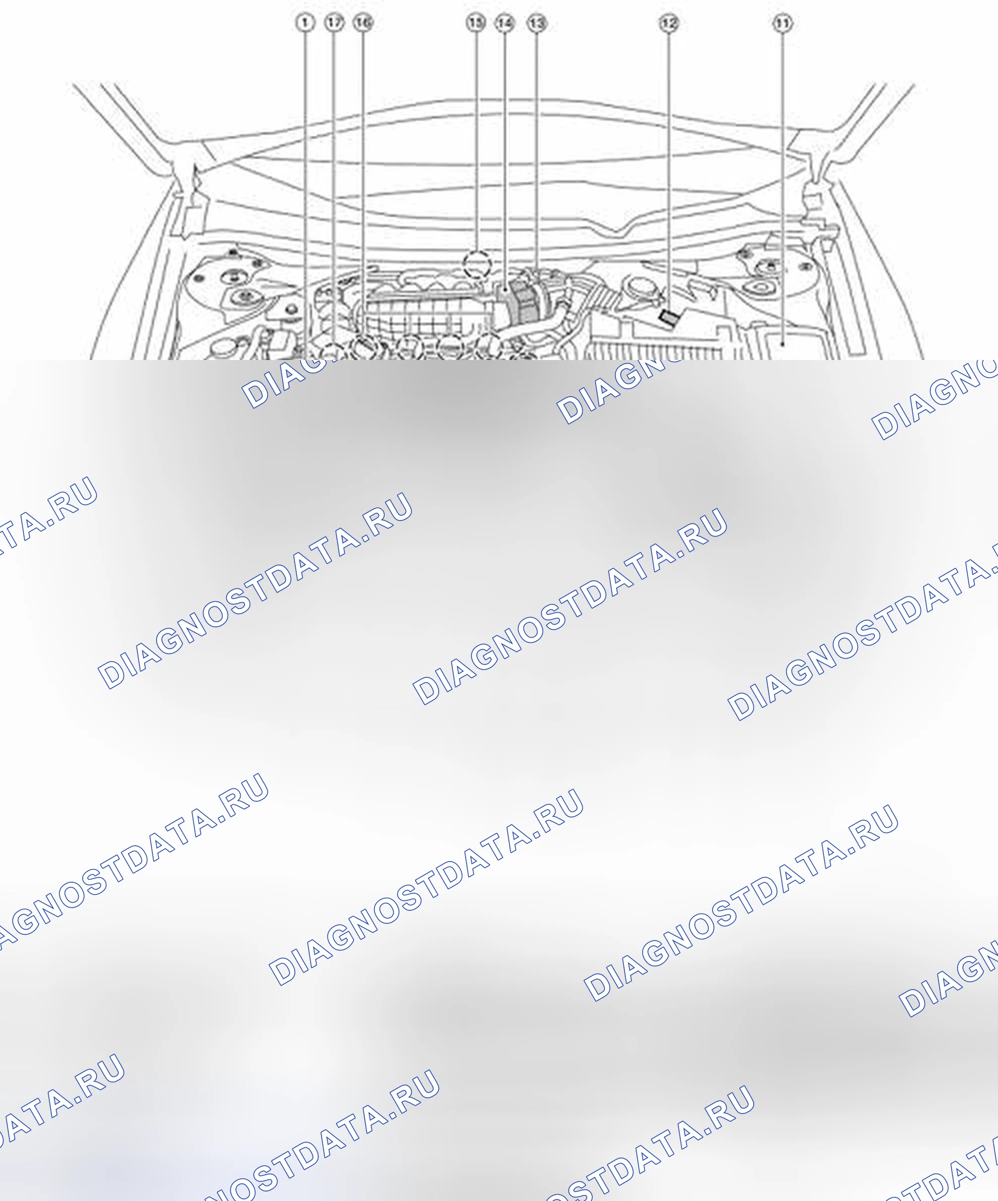 Рис. 156: Расположение компонентов. Nissan Altima L33