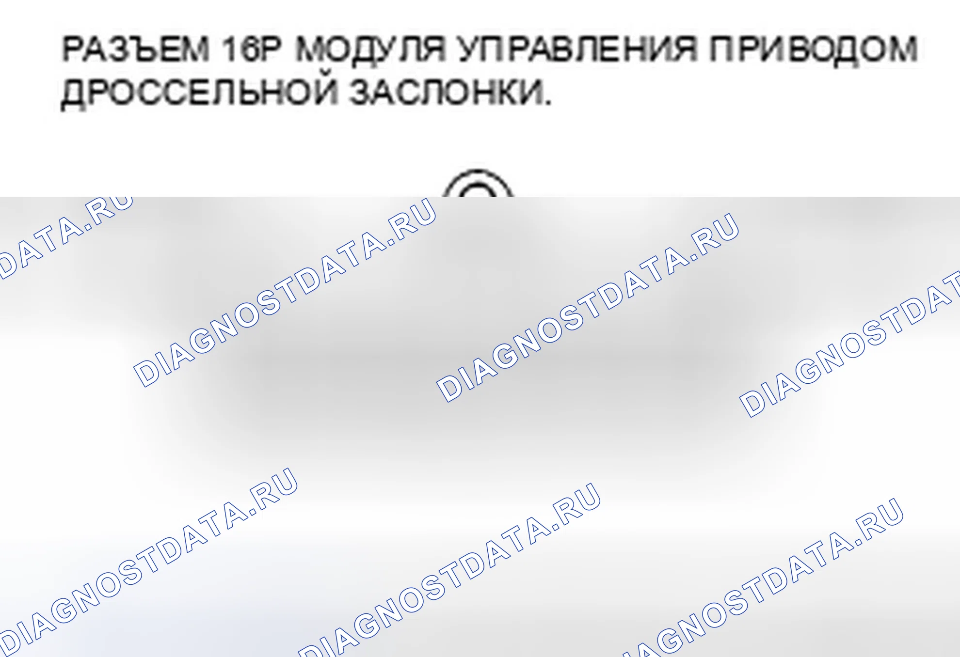 Рис. 167. Honda Element YH2 рестайлинг 2