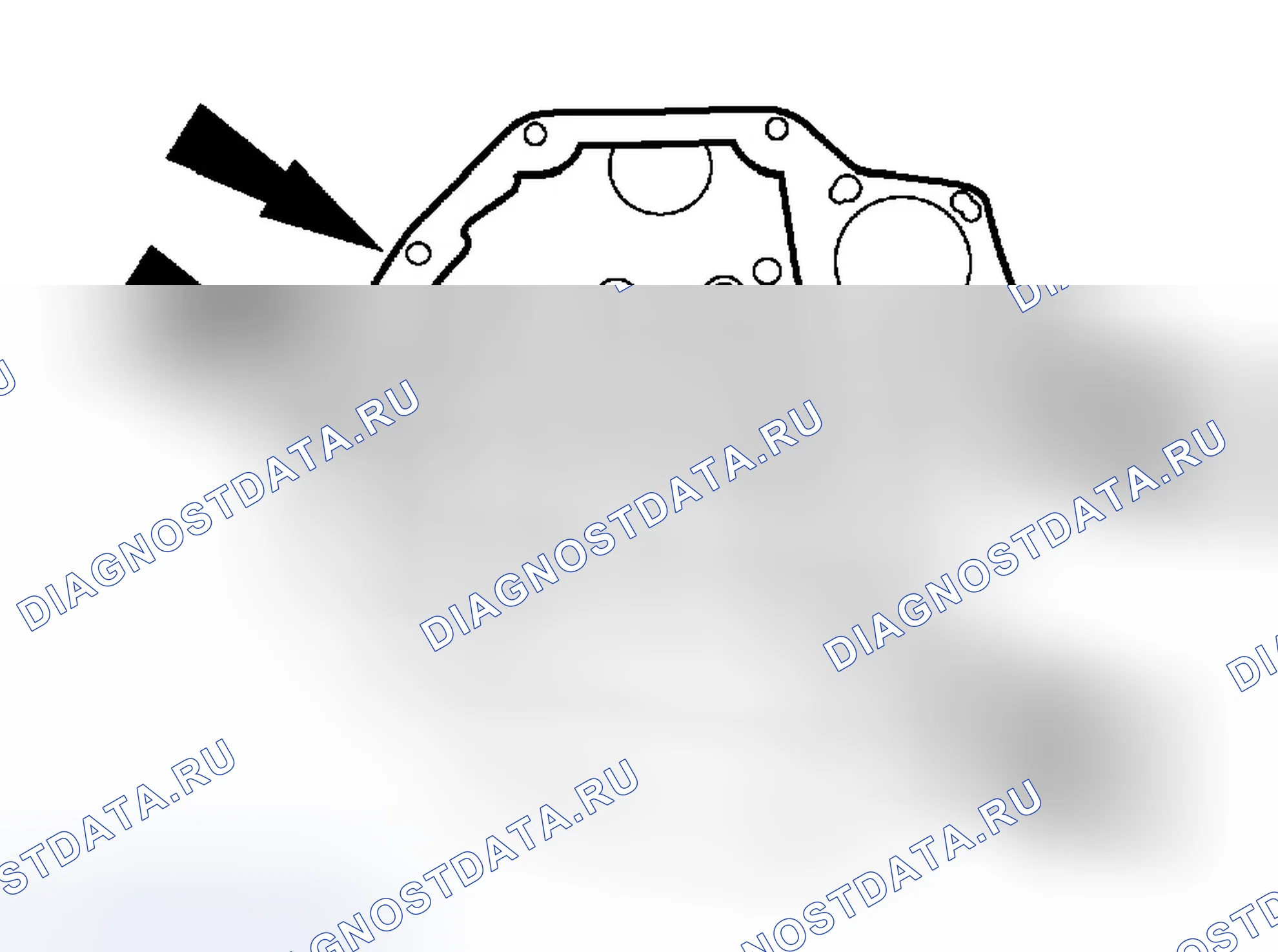 Рис. 1136. Ford Focus I рестайлинг