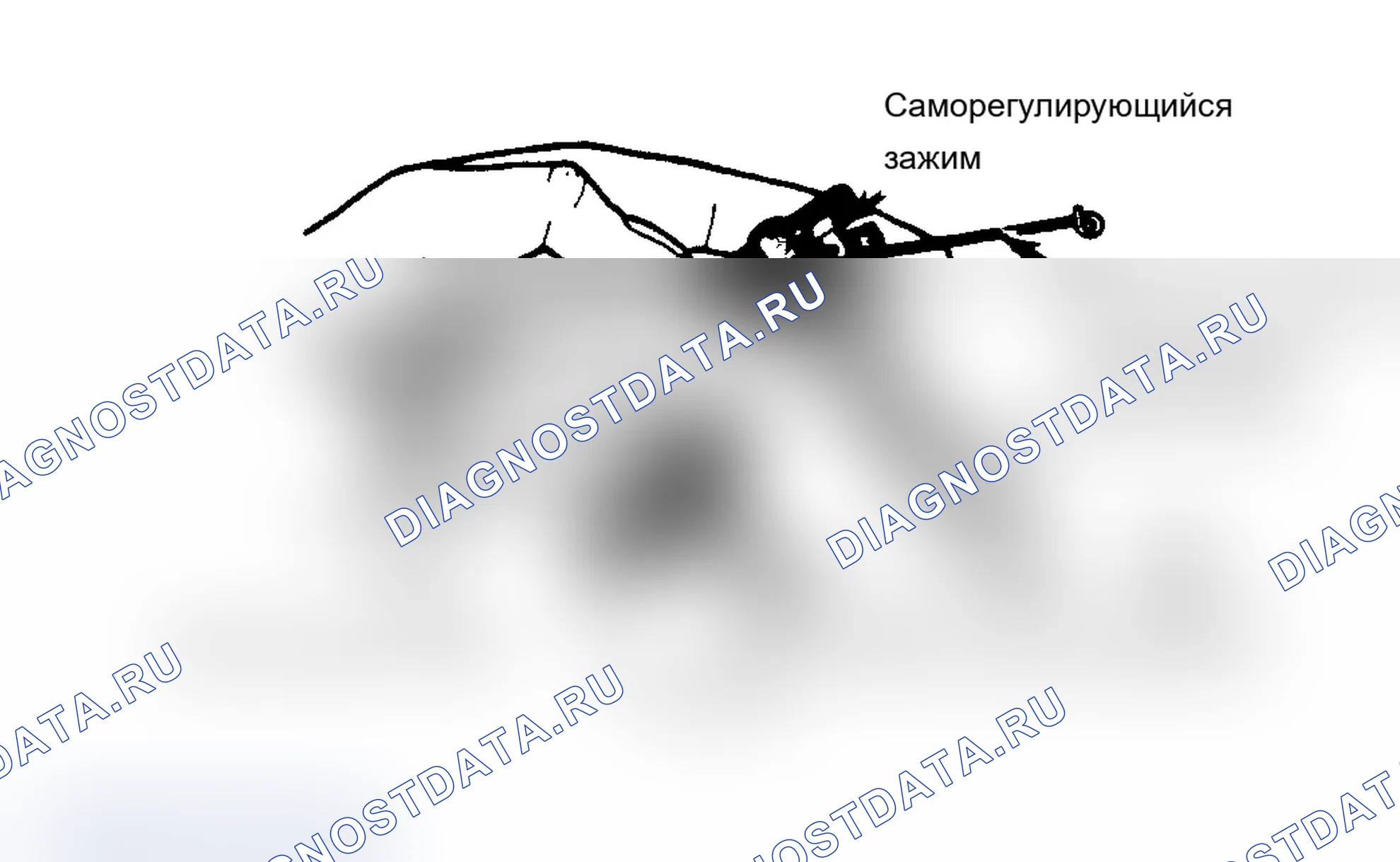 Рис. 5. Dodge Dakota Shelby 