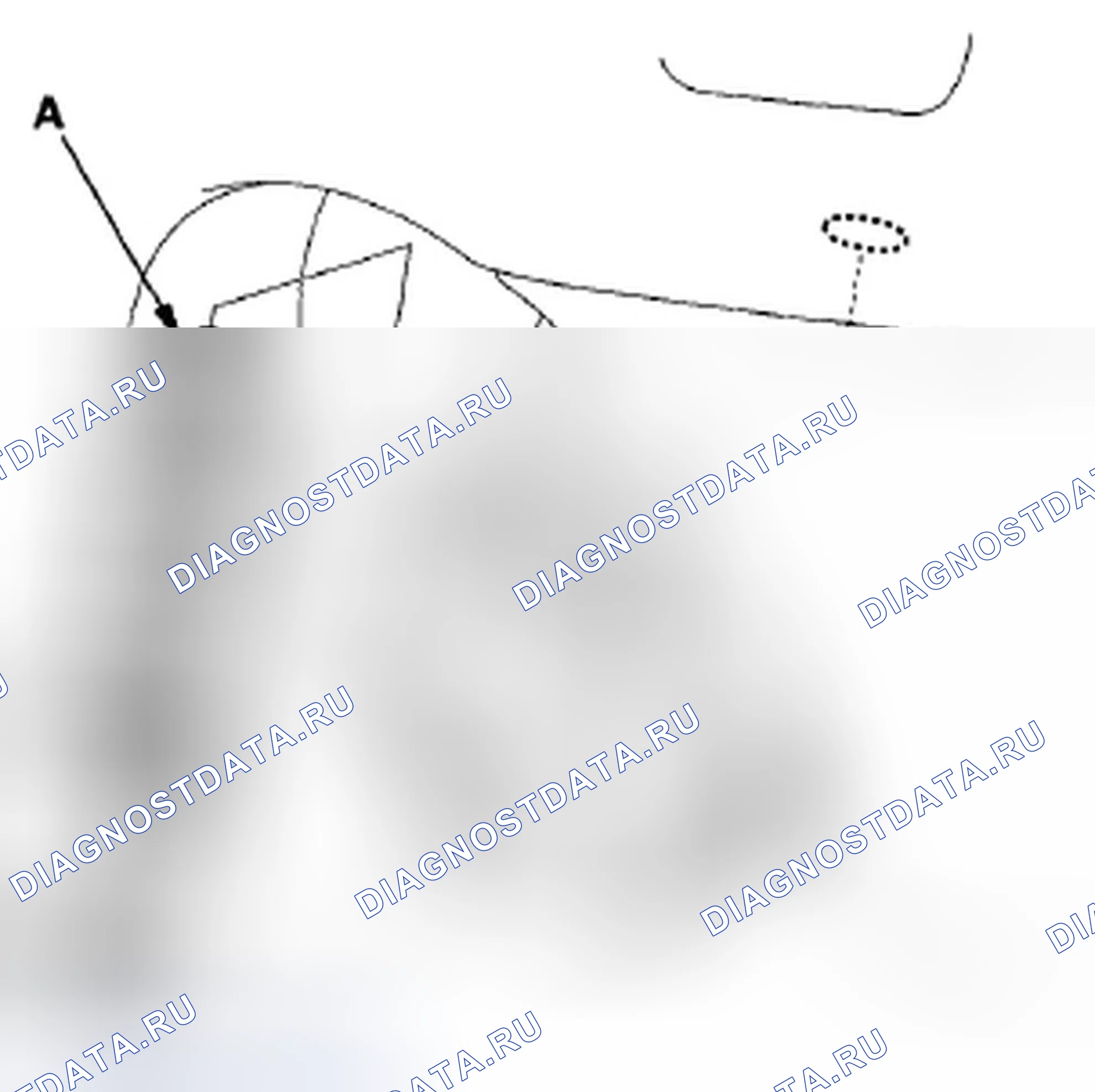 Рис. 38: Установка. Honda S2000 AP1