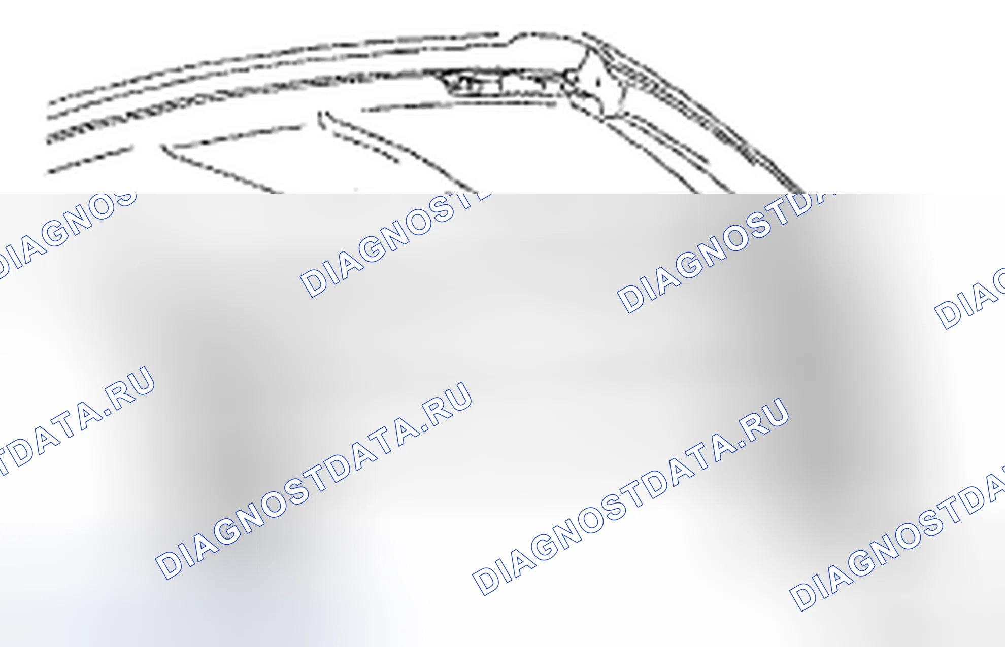 Рис. 231. Honda CR-V VI