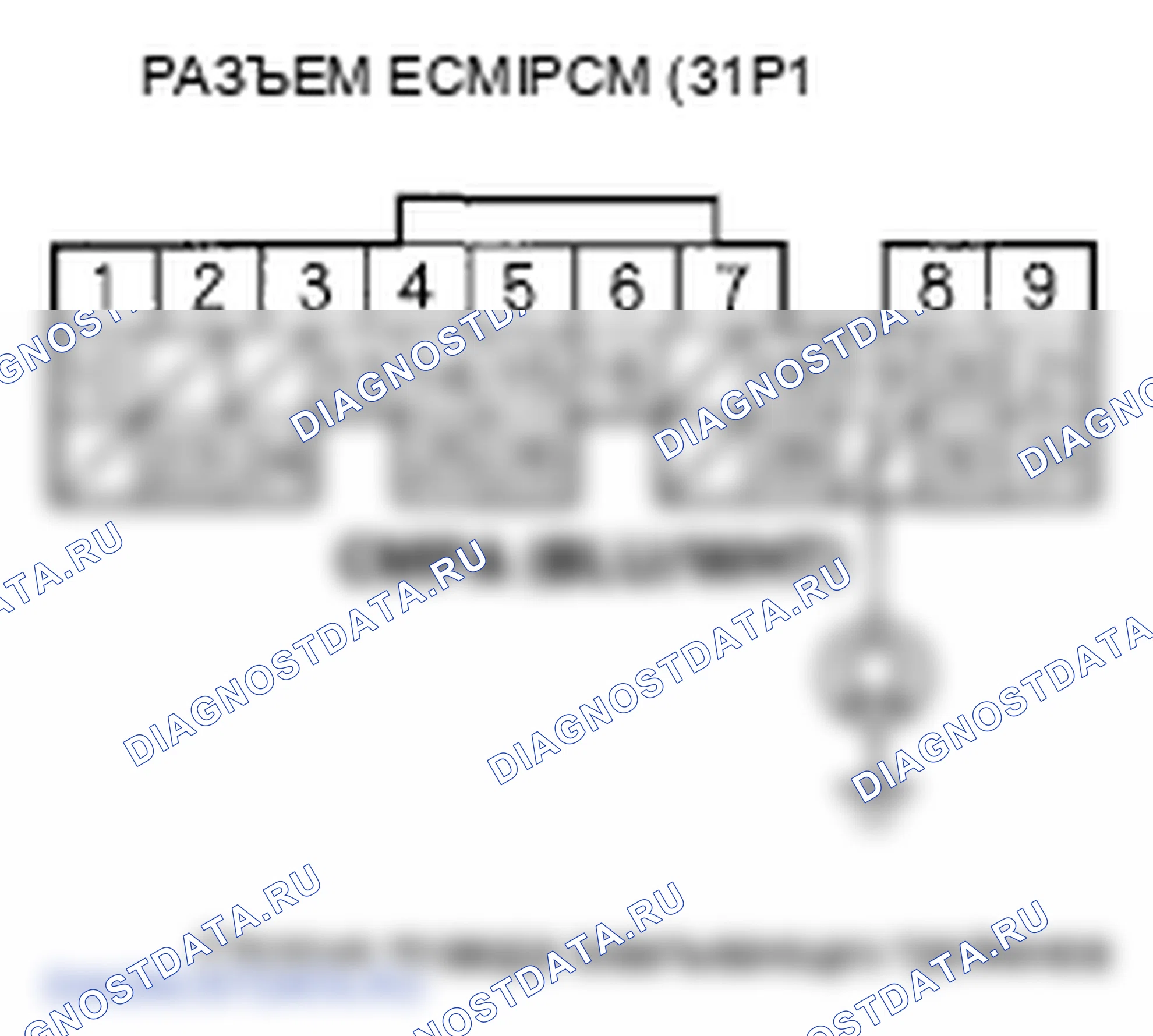 Рис. 102. Honda Element YH2 рестайлинг 2