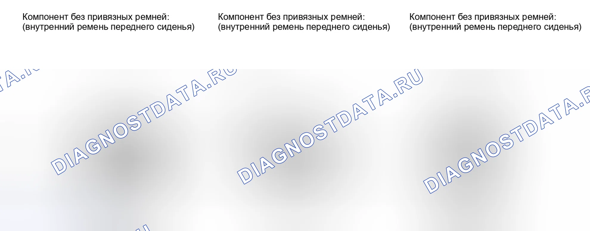 Рис. 244. Haval Raptor I