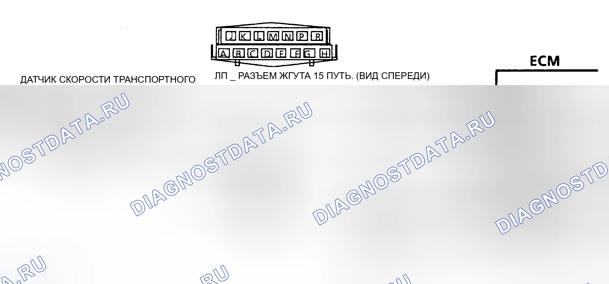 Рис. 137: Схема кода 24, датчик скорости транспортного средства (кузов). Chevrolet Camaro III рестайлинг