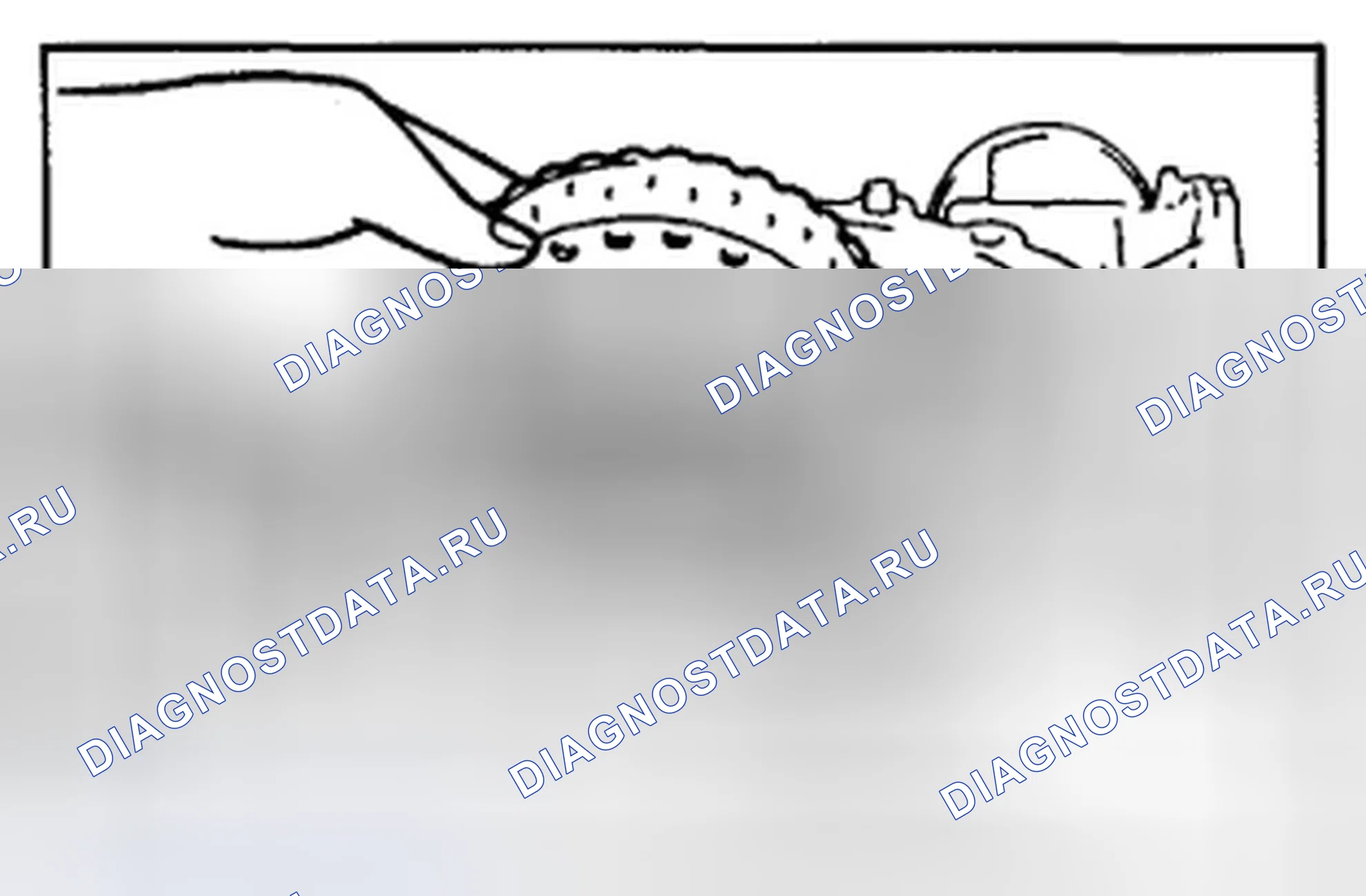 Рис. 120. Hyundai Sonata V рестайлинг