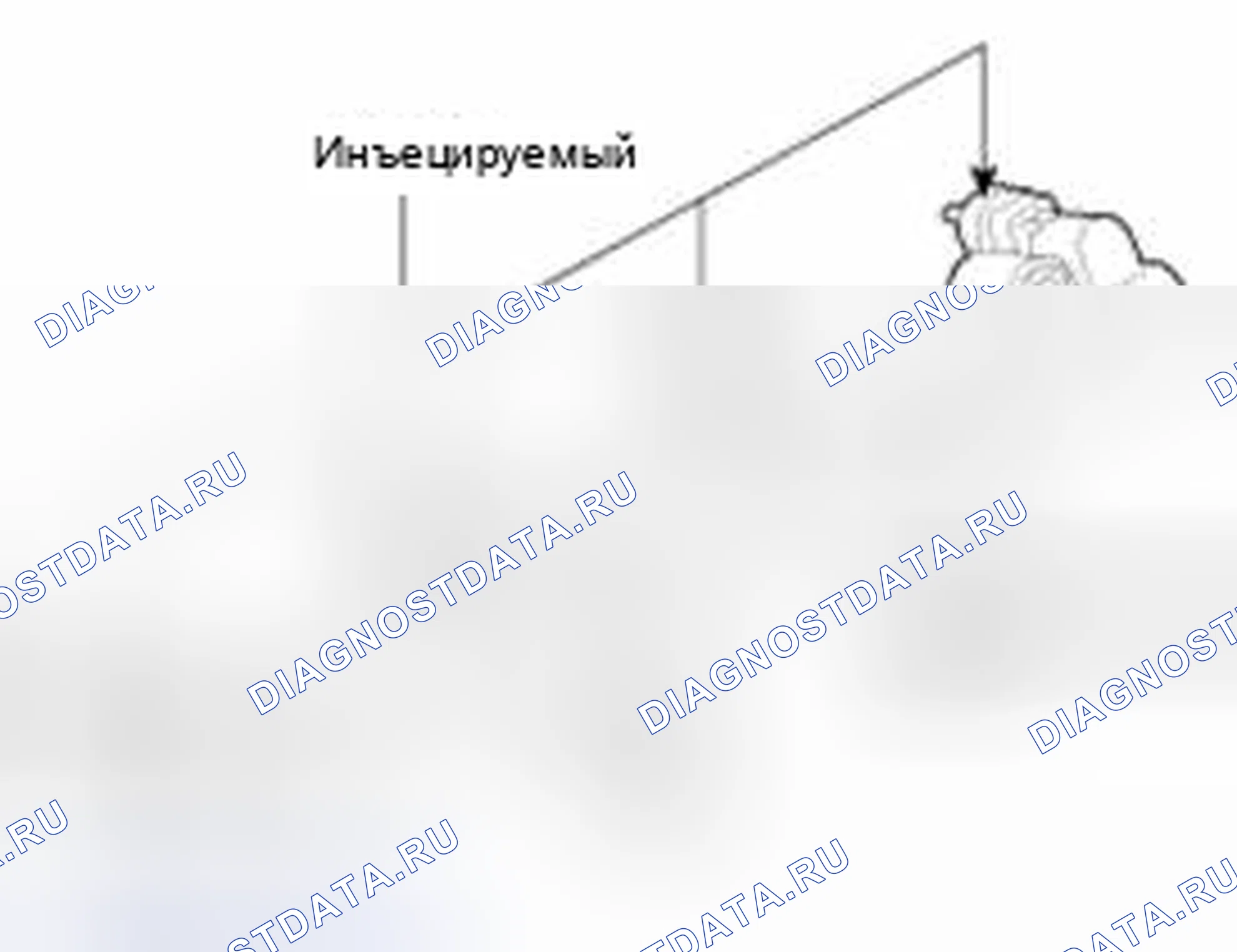 Рис. 59. Haval Beast (Shenshou) I